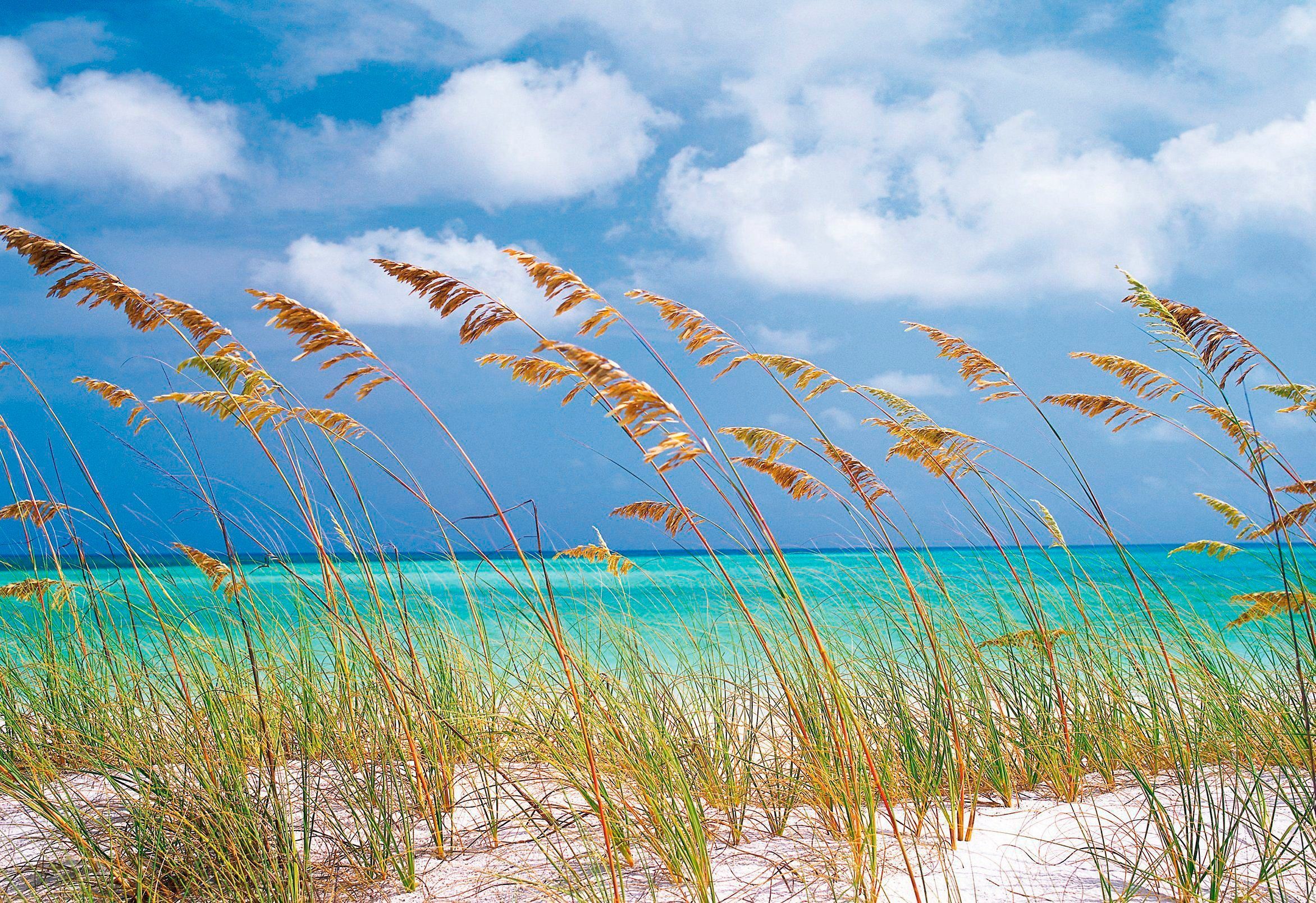 Komar Fototapete Ocean Breeze, 368x254 cm (Breite x Höhe), inklusive  Kleister