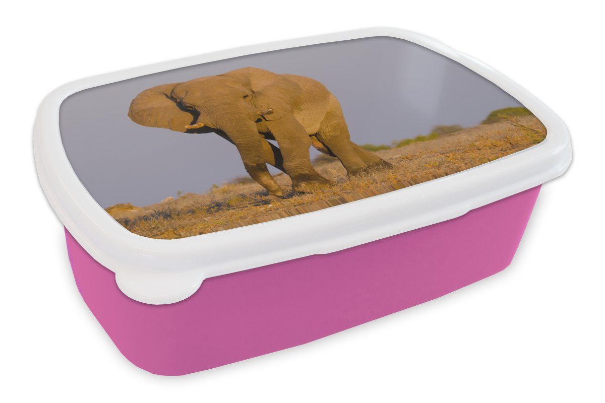 MuchoWow Lunchbox Afrikanischer Elefant im Sand, Kunststoff, (2-tlg), Brotbox für Erwachsene, Brotdose Kinder, Snackbox, Mädchen, Kunststoff rosa