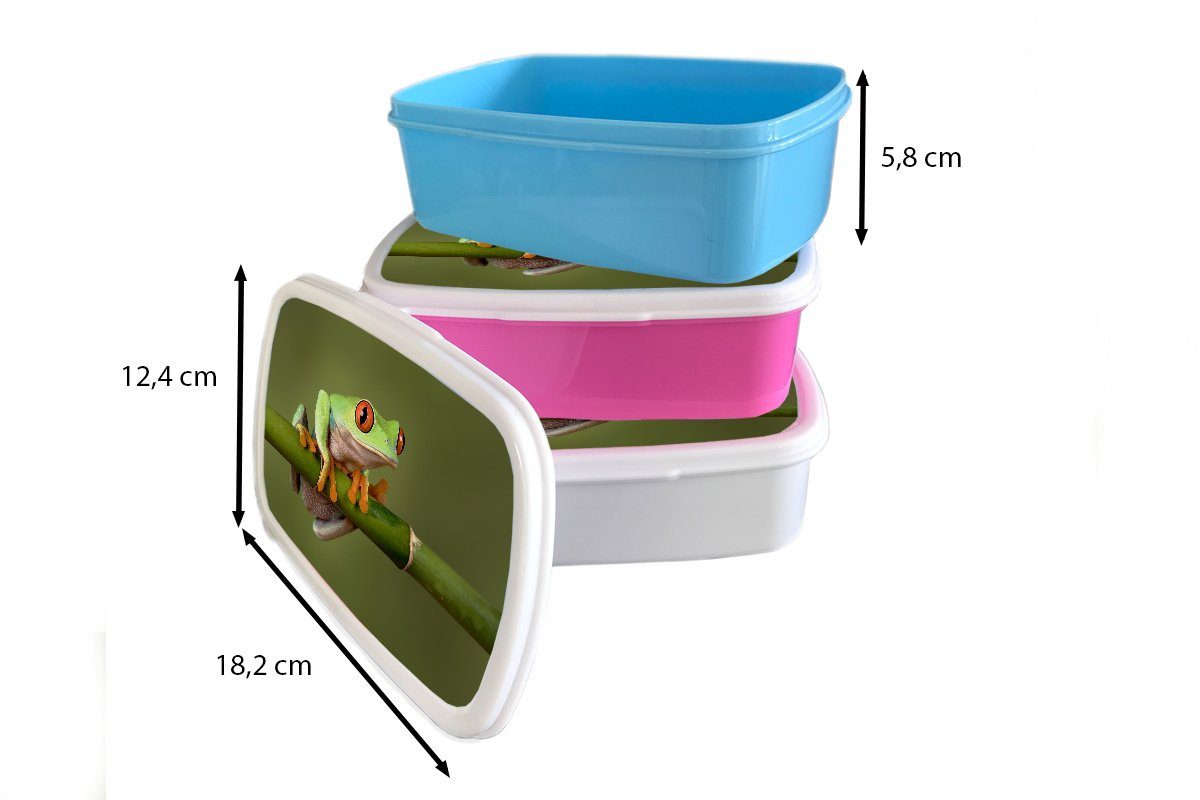 Mädchen Jungs - Kinder und für Brotbox MuchoWow Brotdose, Kunststoff, (2-tlg), und Zweig, für - Erwachsene, Frosch Lunchbox Grün weiß