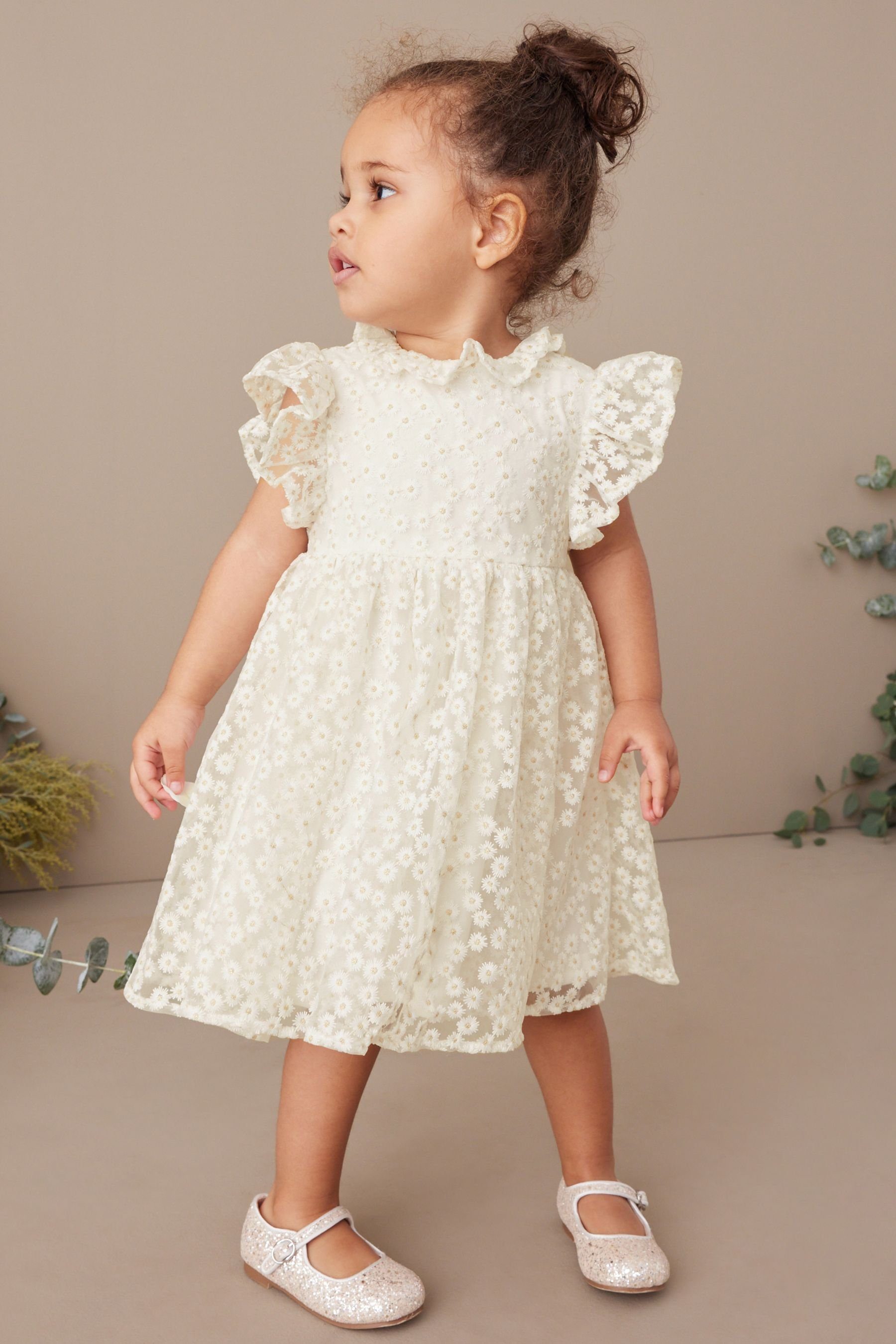 Next Spitzenkleid Kleid mit kurzen Rüschenärmel (1-tlg) White