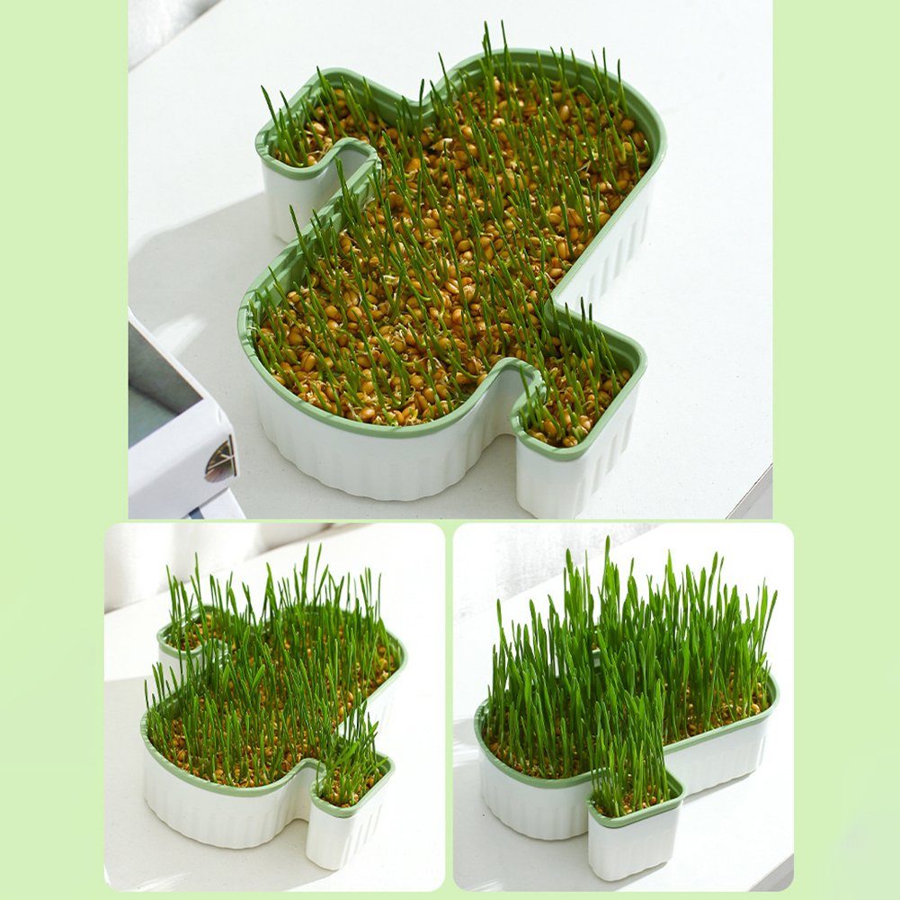 Catgrass-Hydrokulturbox, Langlebige, Doppelschichtige Anzuchttopf Rutschfeste green Blusmart