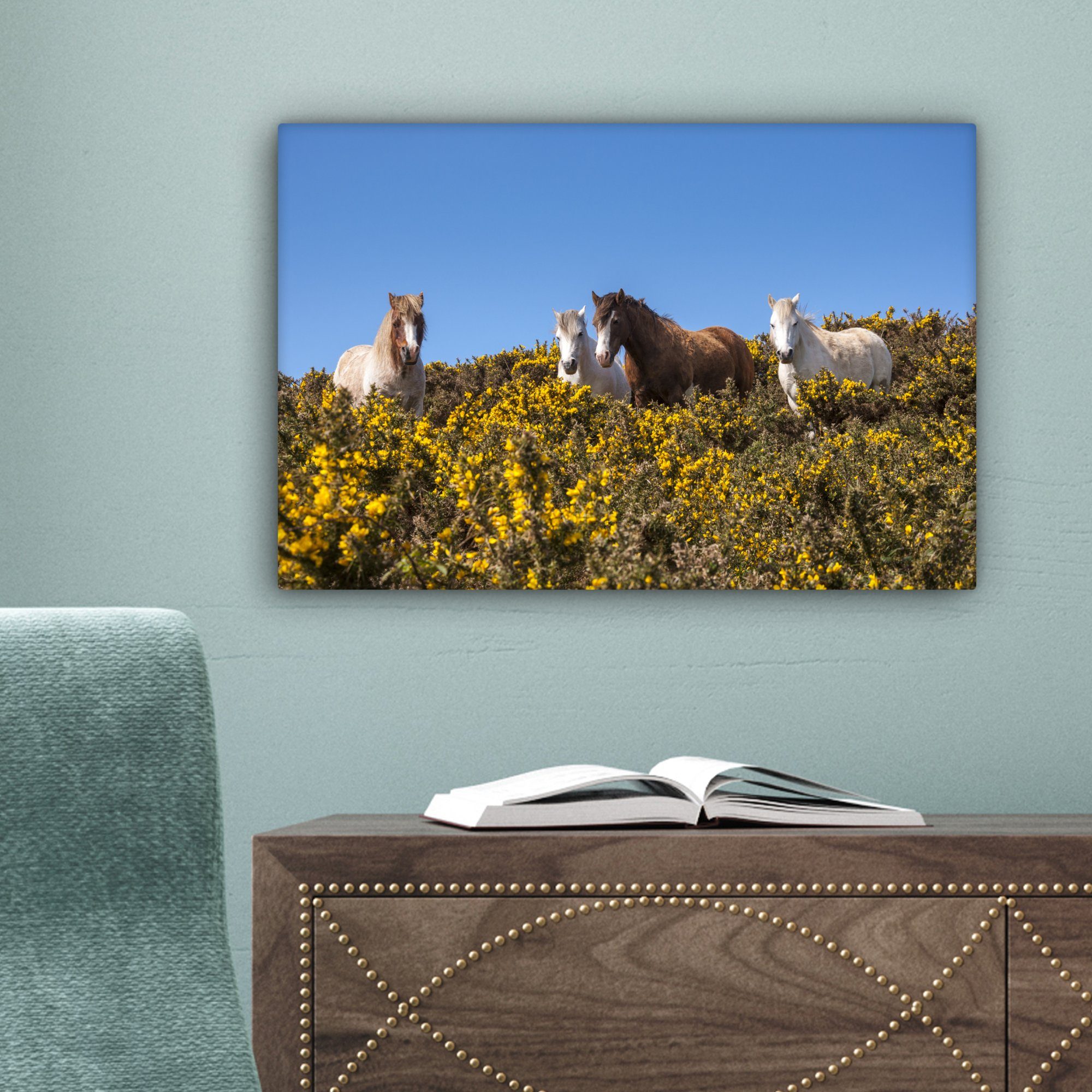 OneMillionCanvasses® Leinwandbild Walisische Ponys an einem (1 St), sonnigen Wandbild cm 30x20 Leinwandbilder, Frühlingstag, Wanddeko, Aufhängefertig