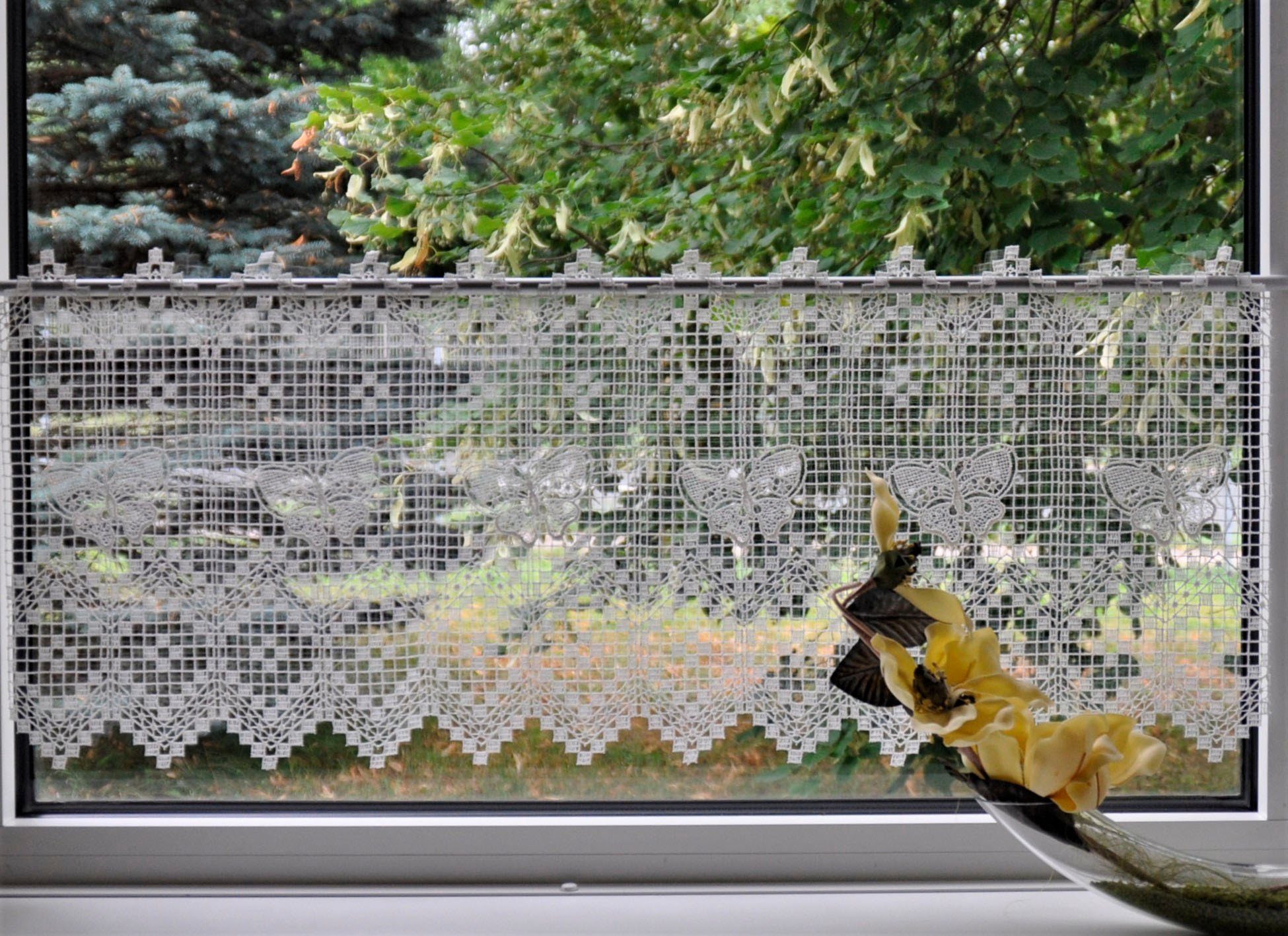 Stickereien Plauen Scheibengardine Butterfly (1 St), Stangendurchzug, halbtransparent