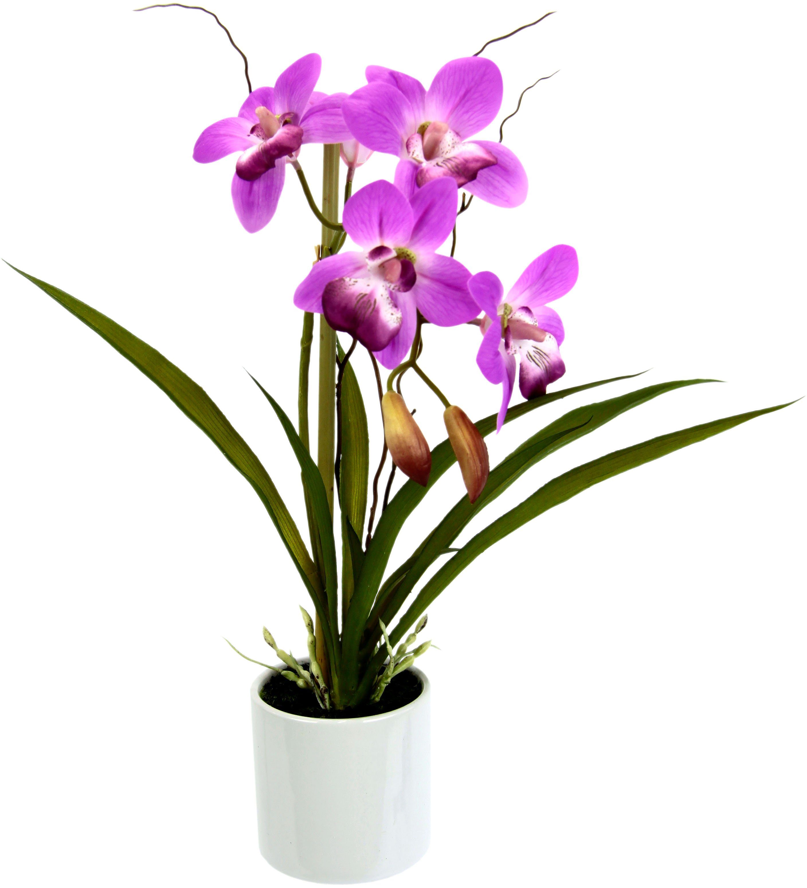 cm, I.GE.A., 33 Keramiktopf Orchidee, Kunstorchidee Höhe im