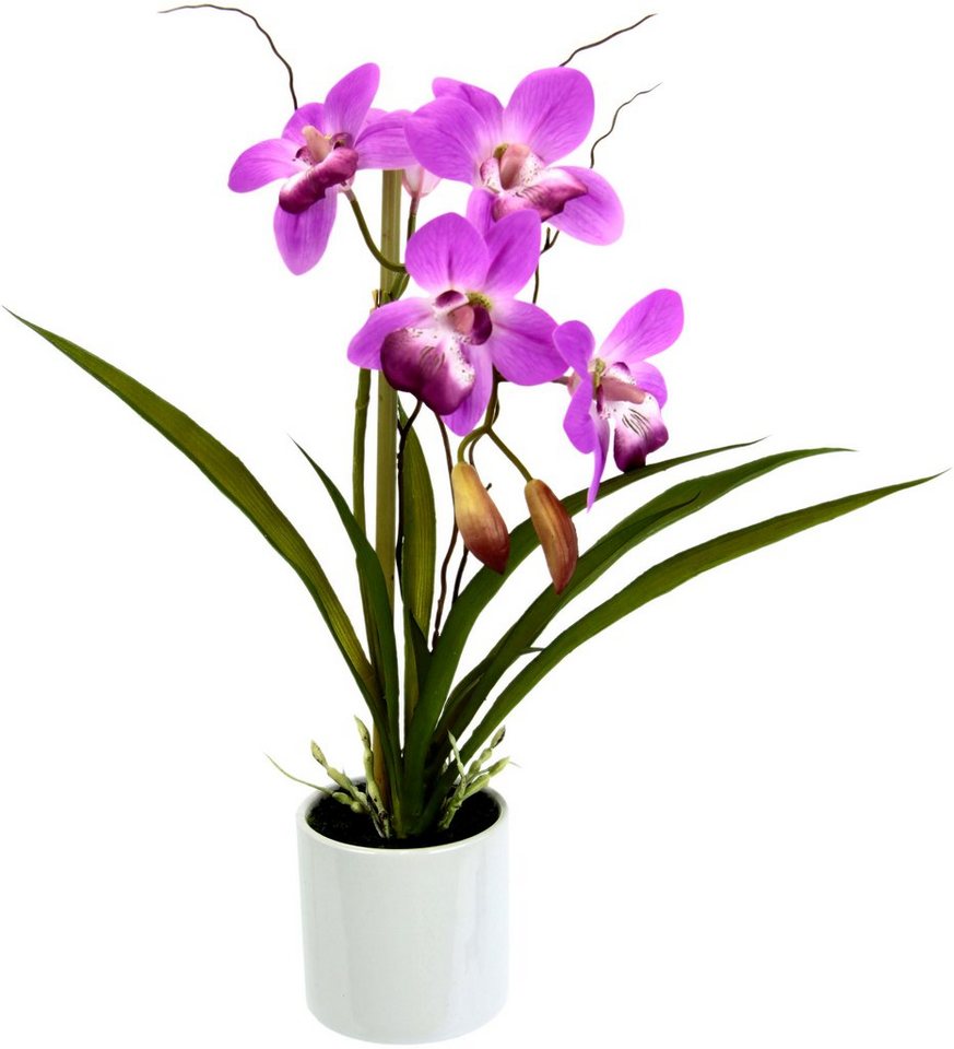 Kunstorchidee Orchidee, I.GE.A., Höhe 33 cm, im Keramiktopf