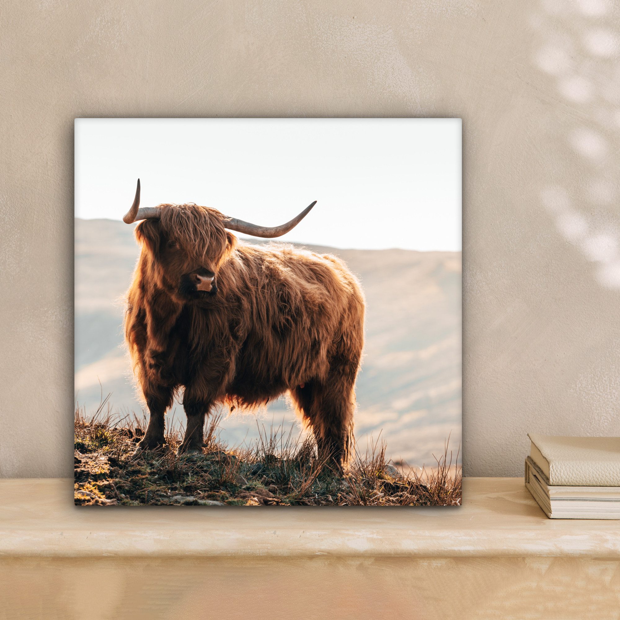OneMillionCanvasses® Leinwandbild Schottische Highlander - Tiere günstig online kaufen