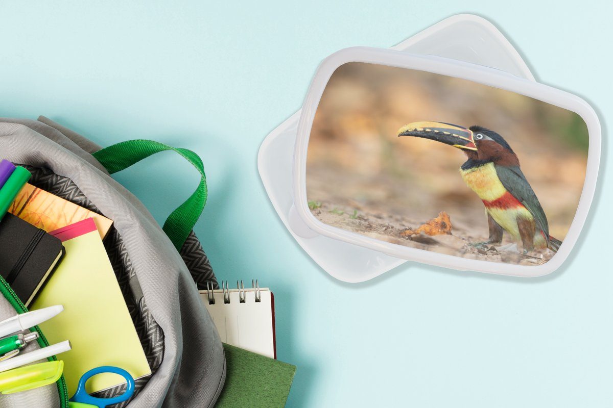 MuchoWow Lunchbox Vogel - Tukan (2-tlg), Kunststoff, Jungs Mädchen Brotdose, für weiß Kinder und und für - Brotbox - Federn Erwachsene, Natur
