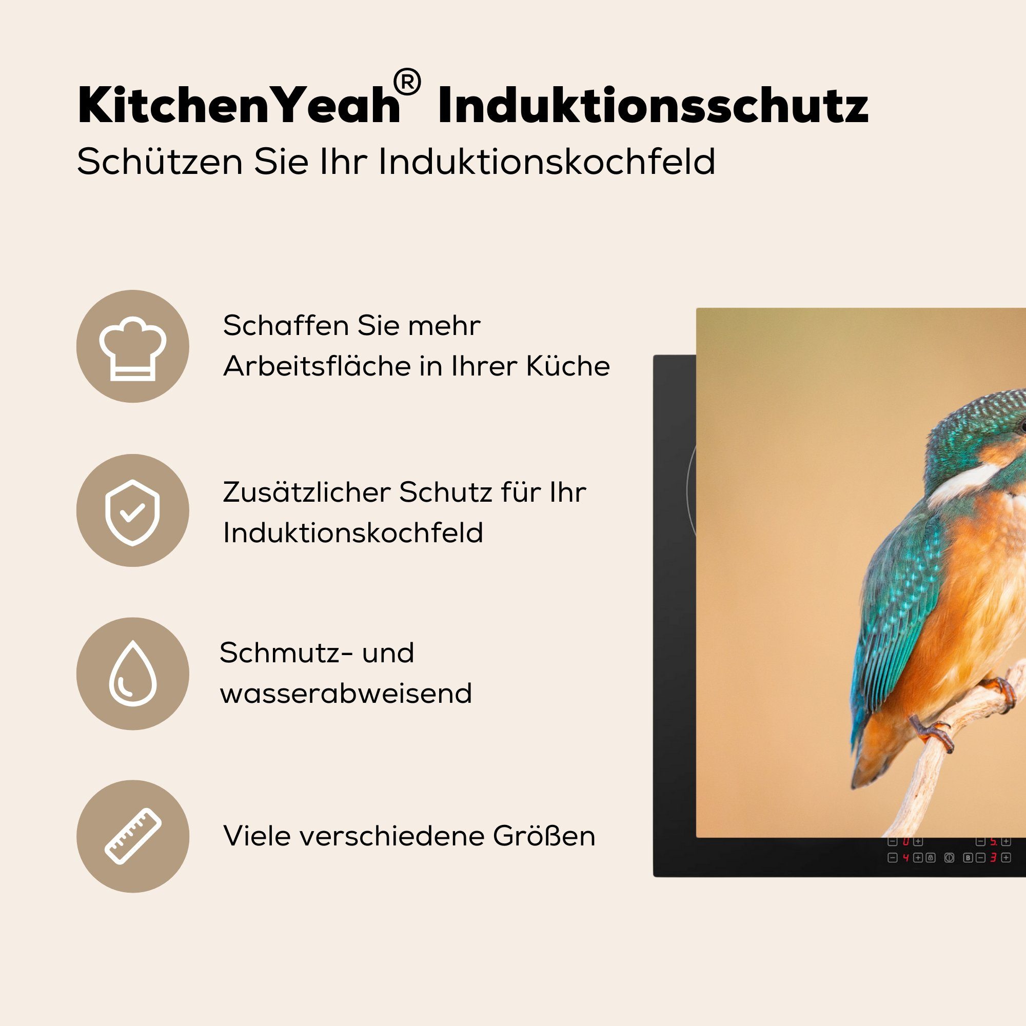 küche, Induktionskochfeld Vinyl, die (1 MuchoWow Schutz Eisvogel - 81x52 Äste, tlg), cm, Herdblende-/Abdeckplatte Ceranfeldabdeckung - für Federn