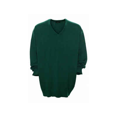 MAERZ Muenchen V-Ausschnitt-Pullover »grün« (1-tlg)