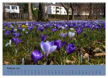 CALVENDO Wandkalender Wundervolles Freiburg (Premium, hochwertiger DIN A2 Wandkalender 2023, Kunstdruck in Hochglanz)