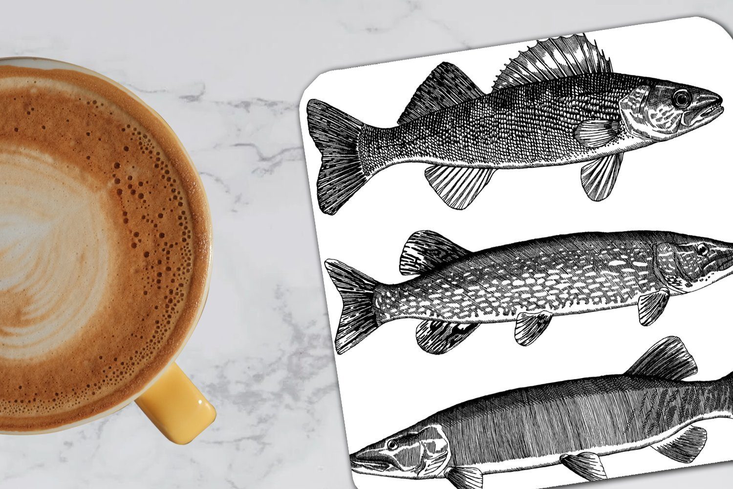 Tasse MuchoWow Korkuntersetzer, 6-tlg., für Gläser, Glasuntersetzer, Fischen, Illustration Eine drei von Untersetzer, Glasuntersetzer Tischuntersetzer, Zubehör