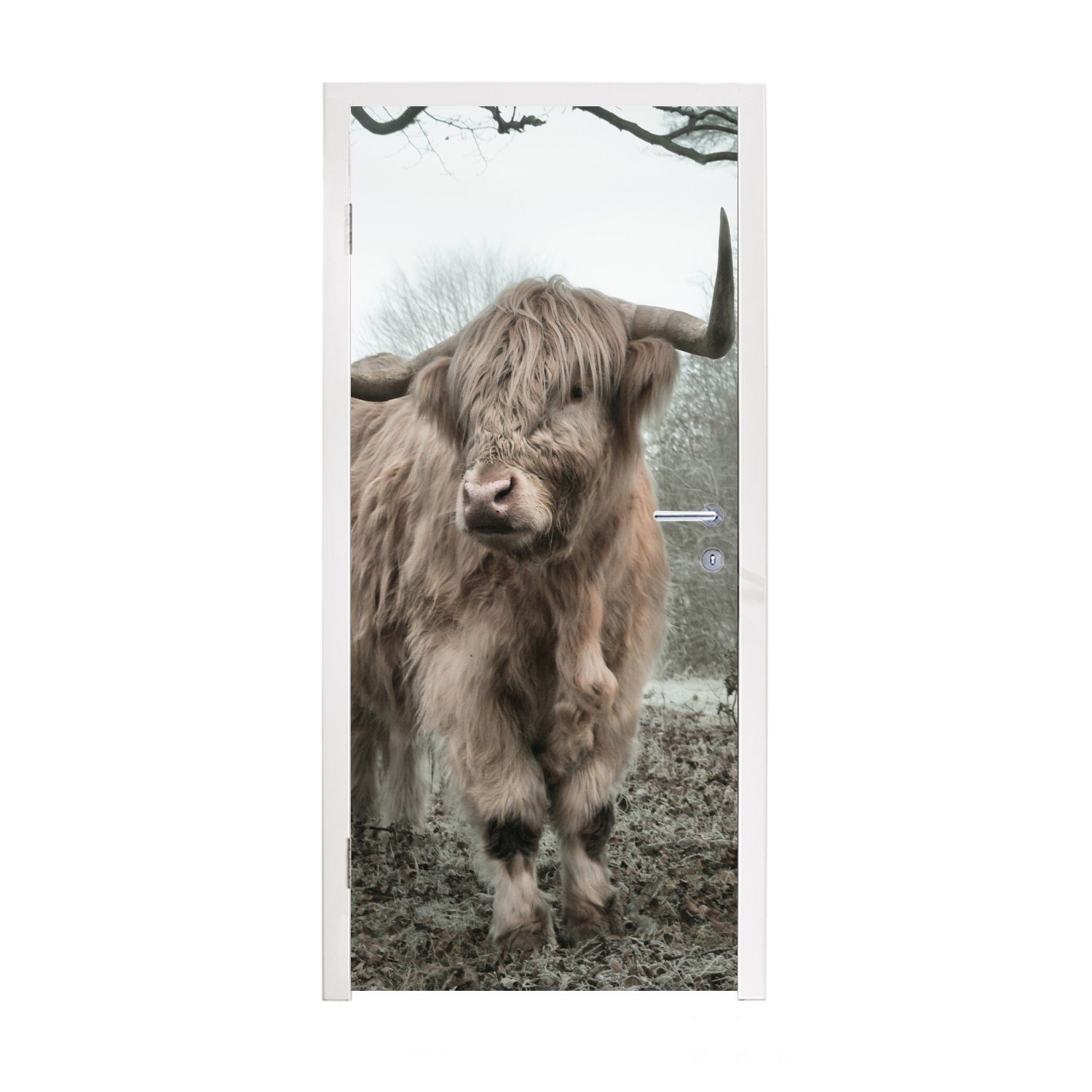 Schottischer 75x205 (1 Wald Matt, Tiere MuchoWow - - - cm Türaufkleber, Tür, St), bedruckt, Türtapete Natur, für Fototapete - Nebel - Highlander Kuh
