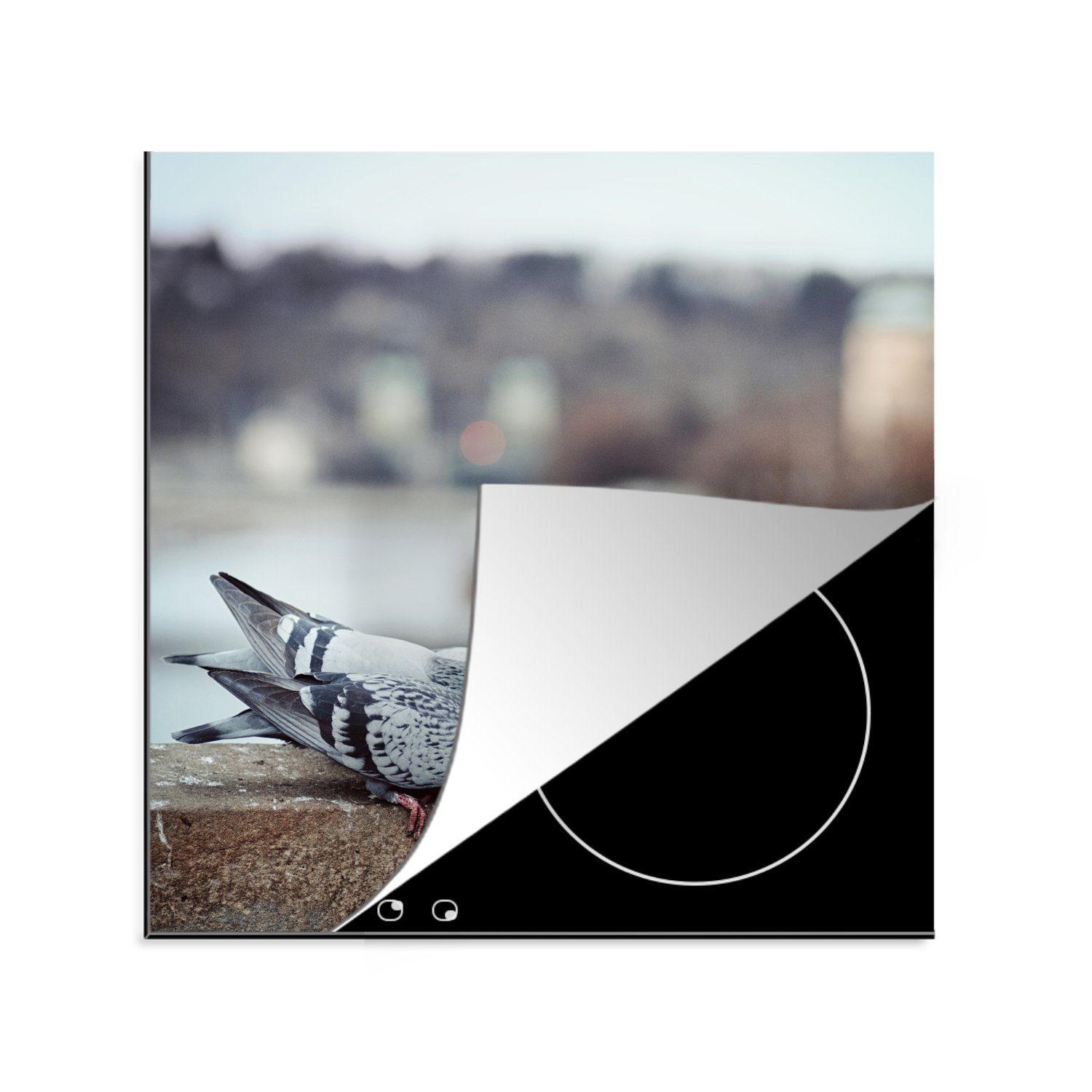 Arbeitsplatte cm, Vinyl, für - 78x78 - Herdblende-/Abdeckplatte Stein MuchoWow Tauben Ceranfeldabdeckung, tlg), Vögel, (1 küche