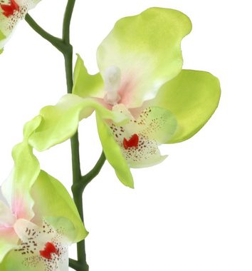 Kunstorchidee Orchidee Künstlich Kunstorchidee Orchideen im topf Deko 598 Orchidee, PassionMade, Höhe 55 cm, Künstliche Orchidee im Topf wie echt