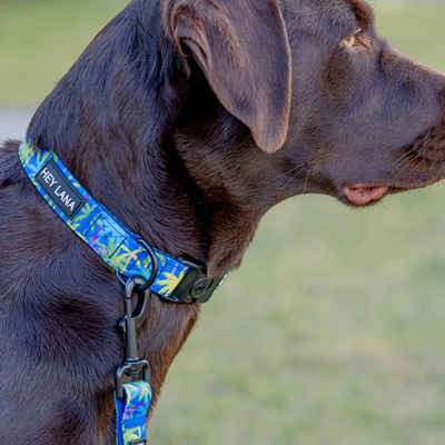 Hey Lana Hunde-Halsband Hundehalsband Palm Beach – Gepolstert mit Sicherheitsverschluss