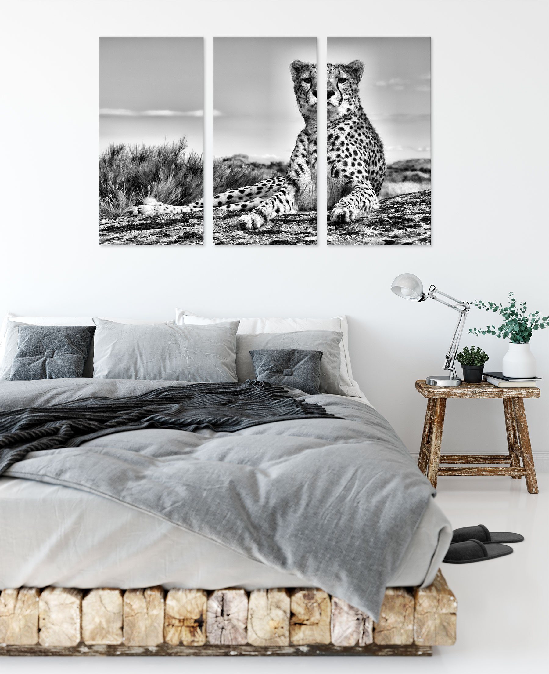in Leinwandbild bespannt, 3Teiler Zackenaufhänger Savanne, Savanne inkl. Gepard (1 fertig Leinwandbild in St), Pixxprint Gepard (120x80cm)