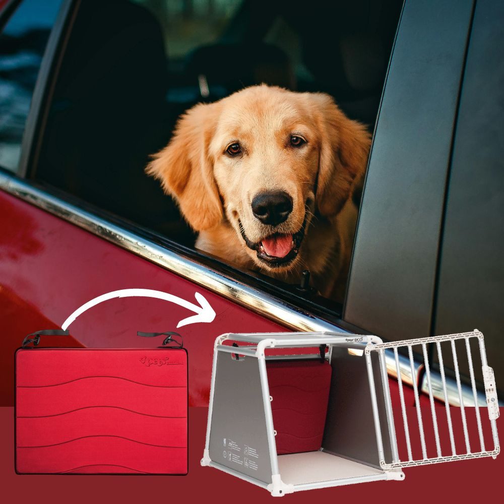 4pets Hunde-Transportbox Sicherheitskissen für Hundebox Pro/Eco 1-4