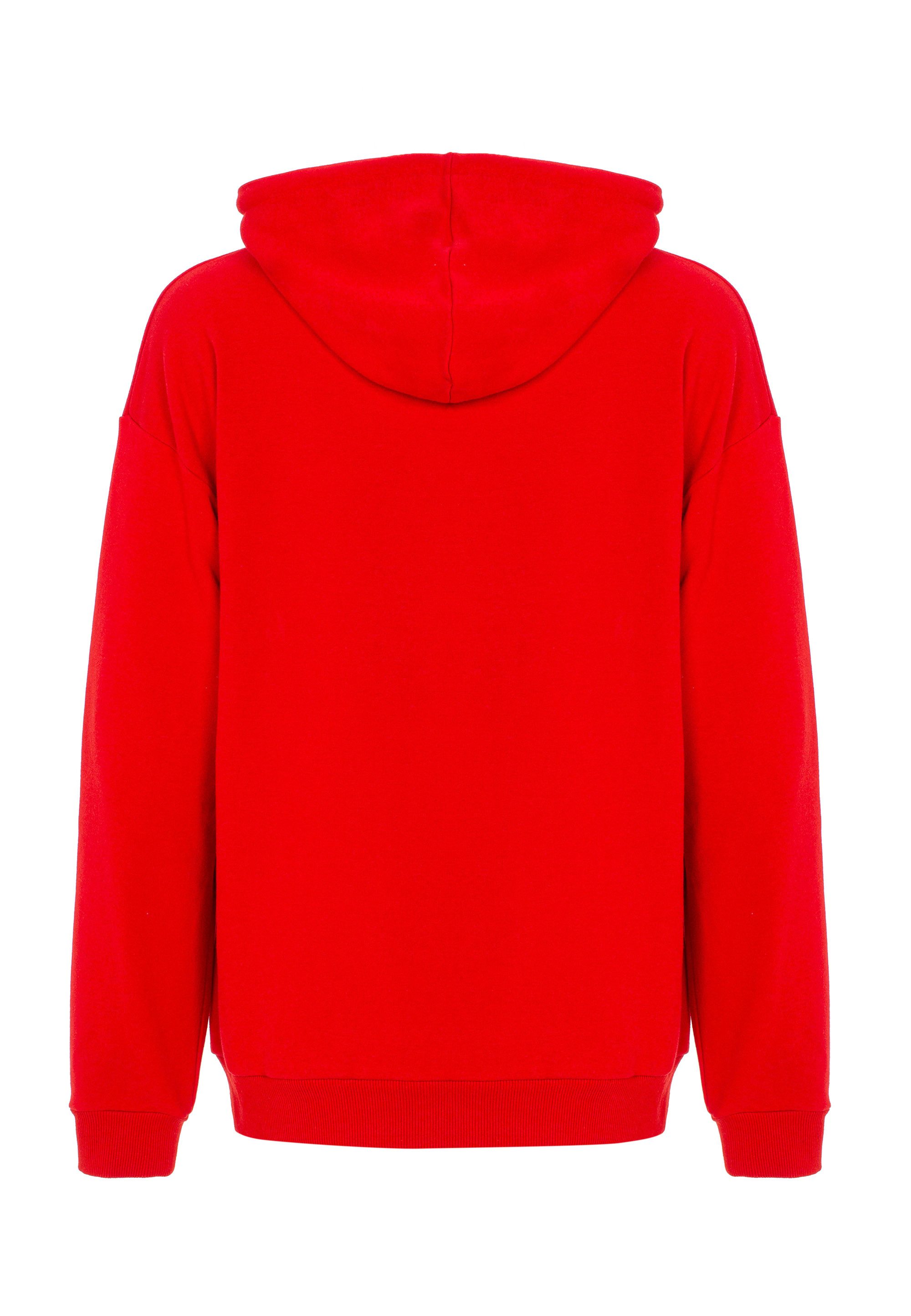RedBridge Hoodie Red Bridge Herren Kapuzenpullover Hoodie Nasa