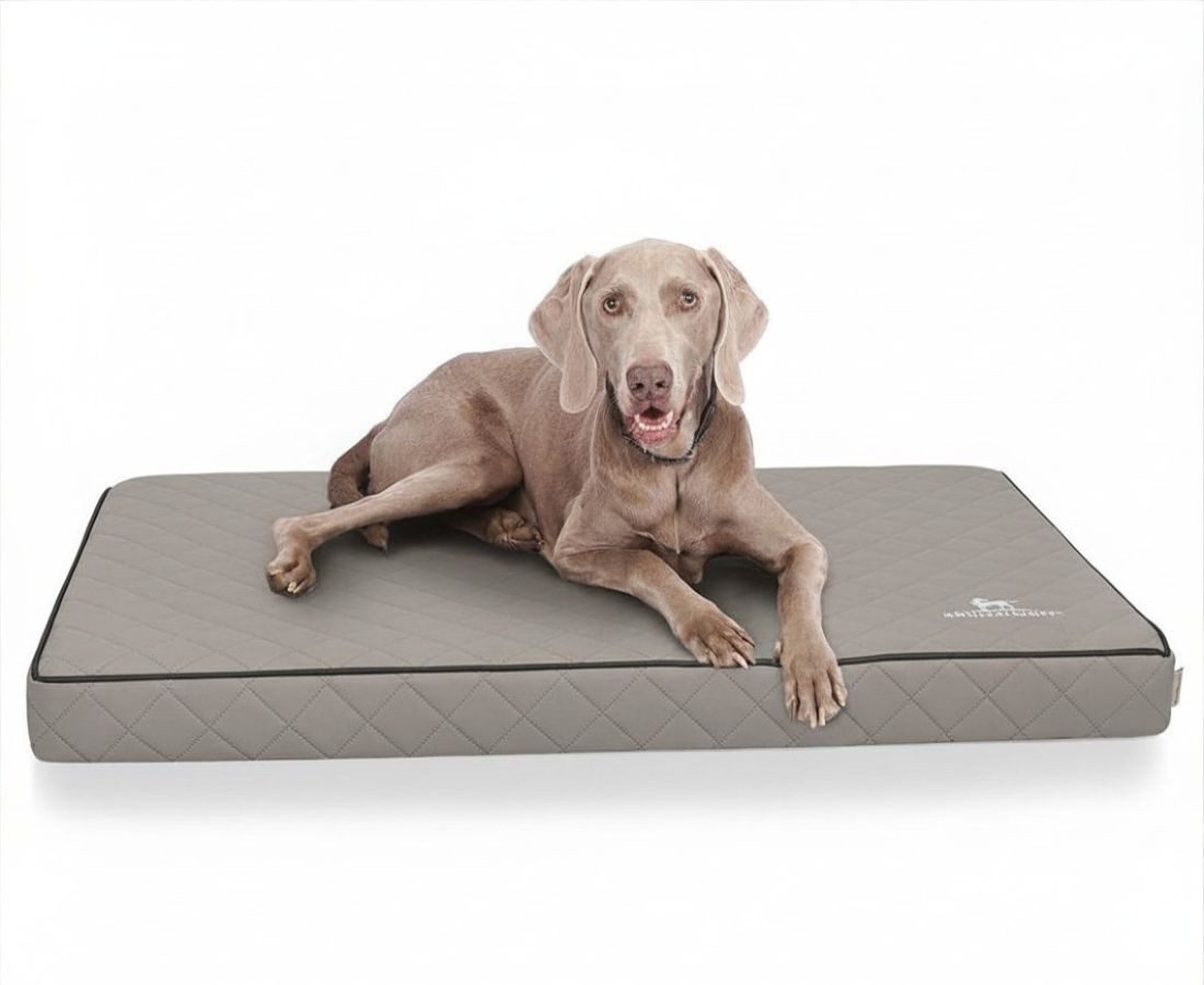 Knuffelwuff Hundematte Juna, Orthopädisch
