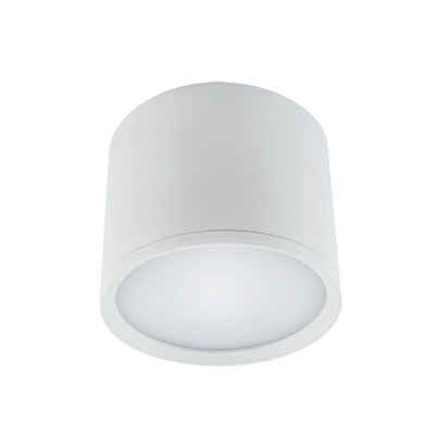 Licht-Erlebnisse Deckenleuchte BAILEY, LED, Neutralweiß, LED Weiß 4100 K 840 lm Ø 12 cm Aluminium Wohnzimmer