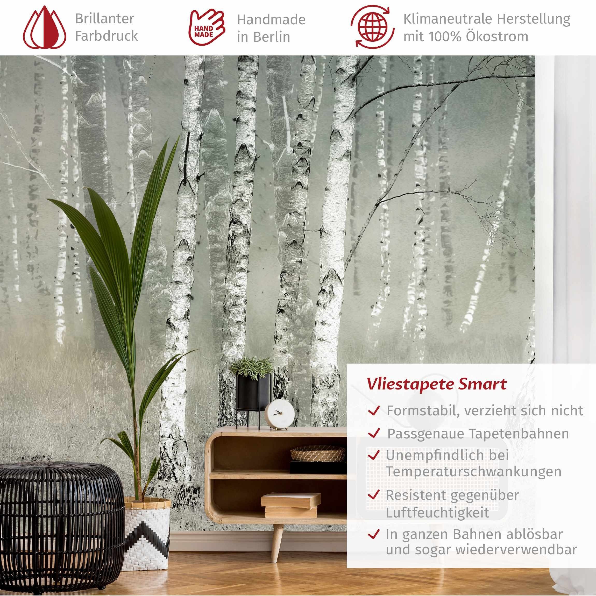 Bilderdepot24 Fototapete Wald Ruhender Birkenwald Natur günstig online kaufen