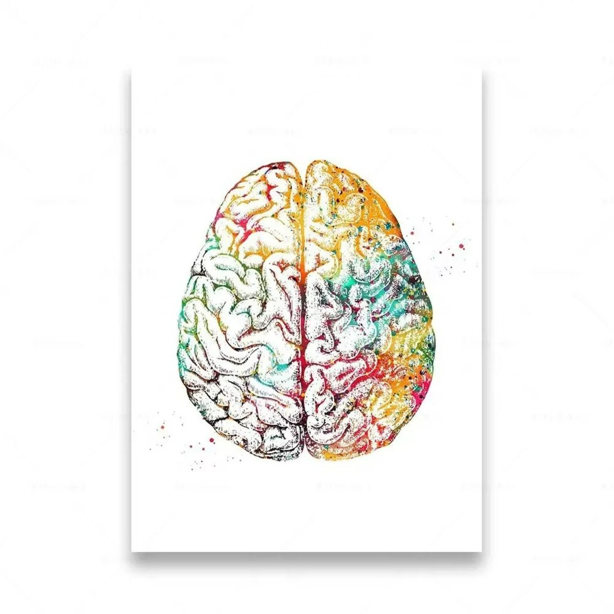 TPFLiving Kunstdruck (OHNE RAHMEN) Poster - Leinwand - Wandbild, Menschliche Anatomie, Wirbelsäule, Herz, Gehirn, Zähne, HD-Leinwand (Leinwandbild XXL), Farben: Orange, Rot, Blau, Schwarz, Weiß, Rosa -Größe: 40x60cm