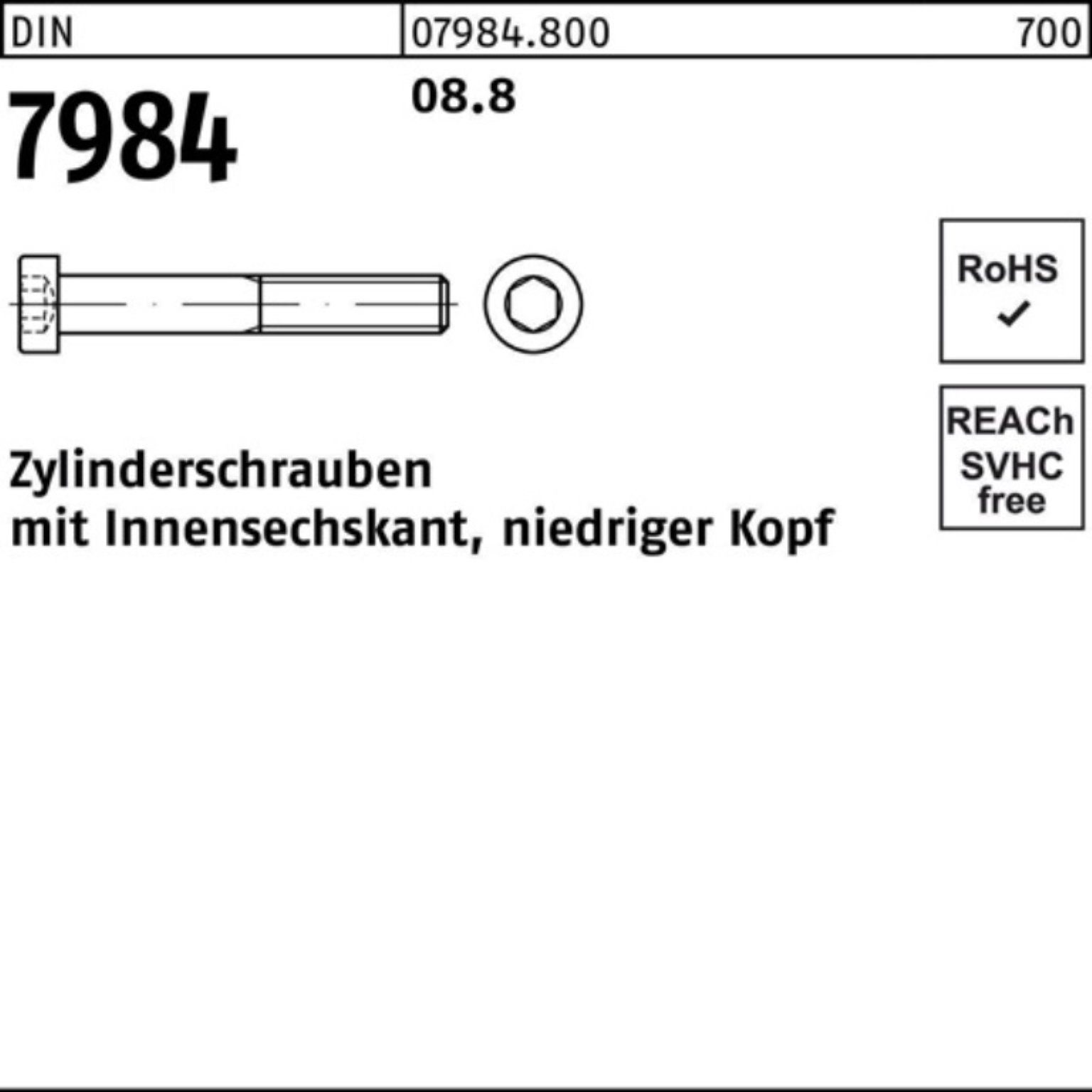 8.8 Zylinderschraube D 100 Pack DIN 7984 Reyher 12 Stück Zylinderschraube M3x 100er Innen-6kt