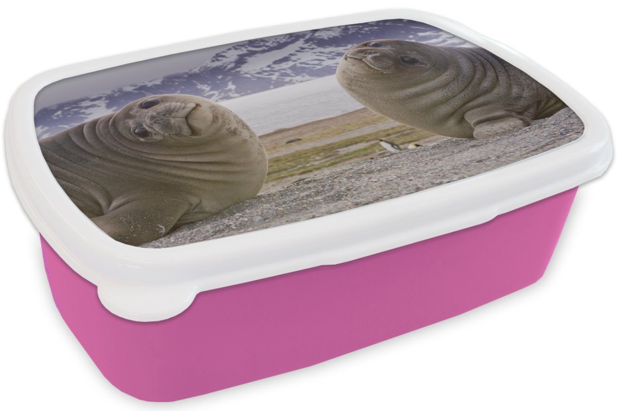 MuchoWow Lunchbox Robben Brotdose Lustig - Kinder - Erwachsene, Mädchen - (2-tlg), Kunststoff, Brotbox - für Kinder, Kinder, Kunststoff Jungen rosa - Snackbox, Mädchen