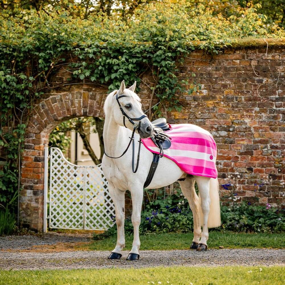 Horseware Ausreitdecke Horseware Newmarket Exercise Sheet