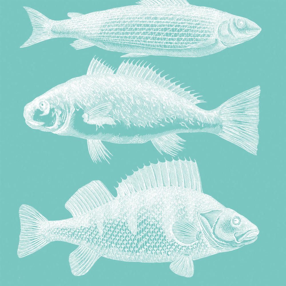Sniff Papierserviette Riviera Fish Aqua 20 Stück