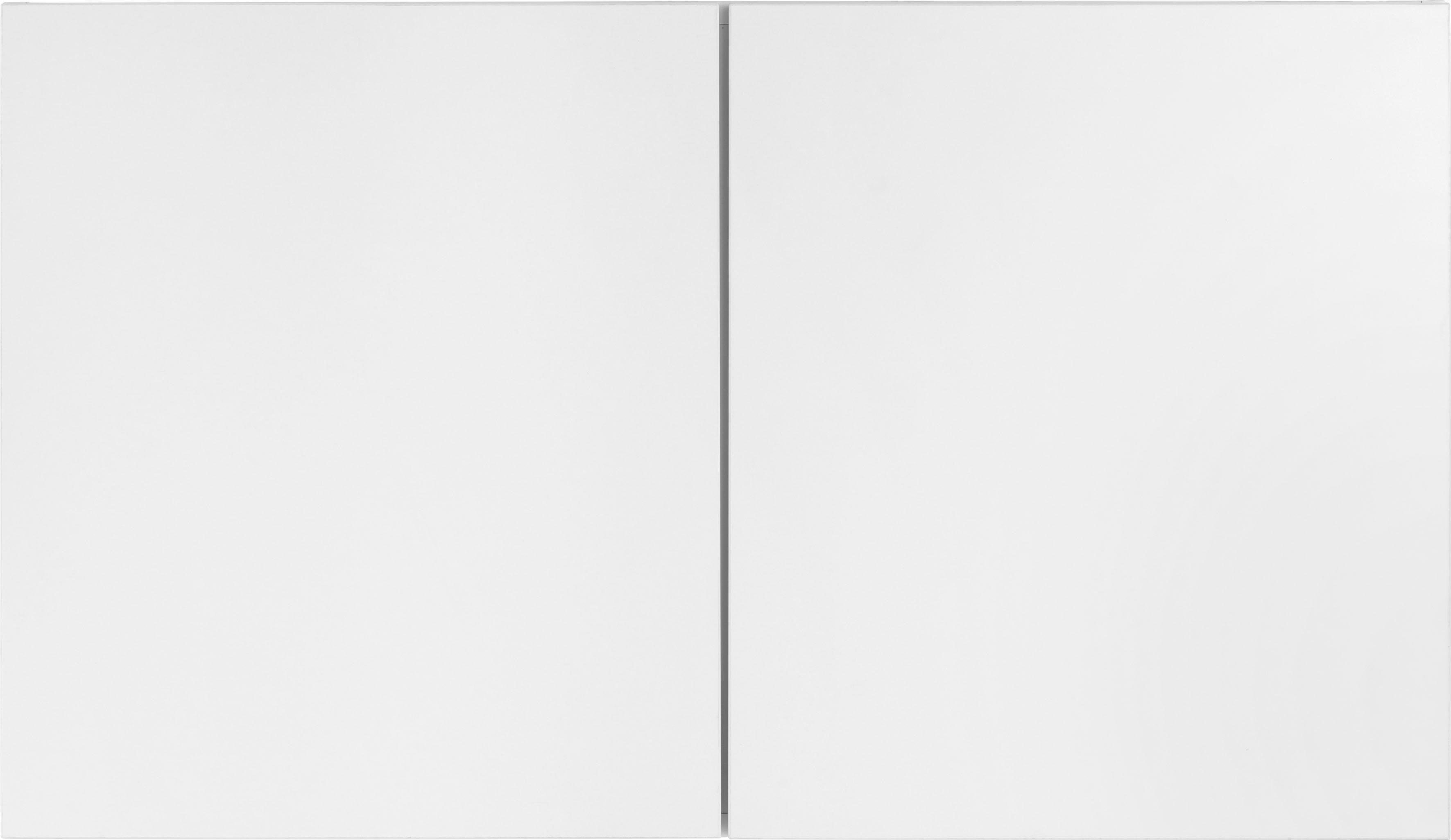 OPTIFIT Hängeschrank Roth Breite 100 cm günstig online kaufen