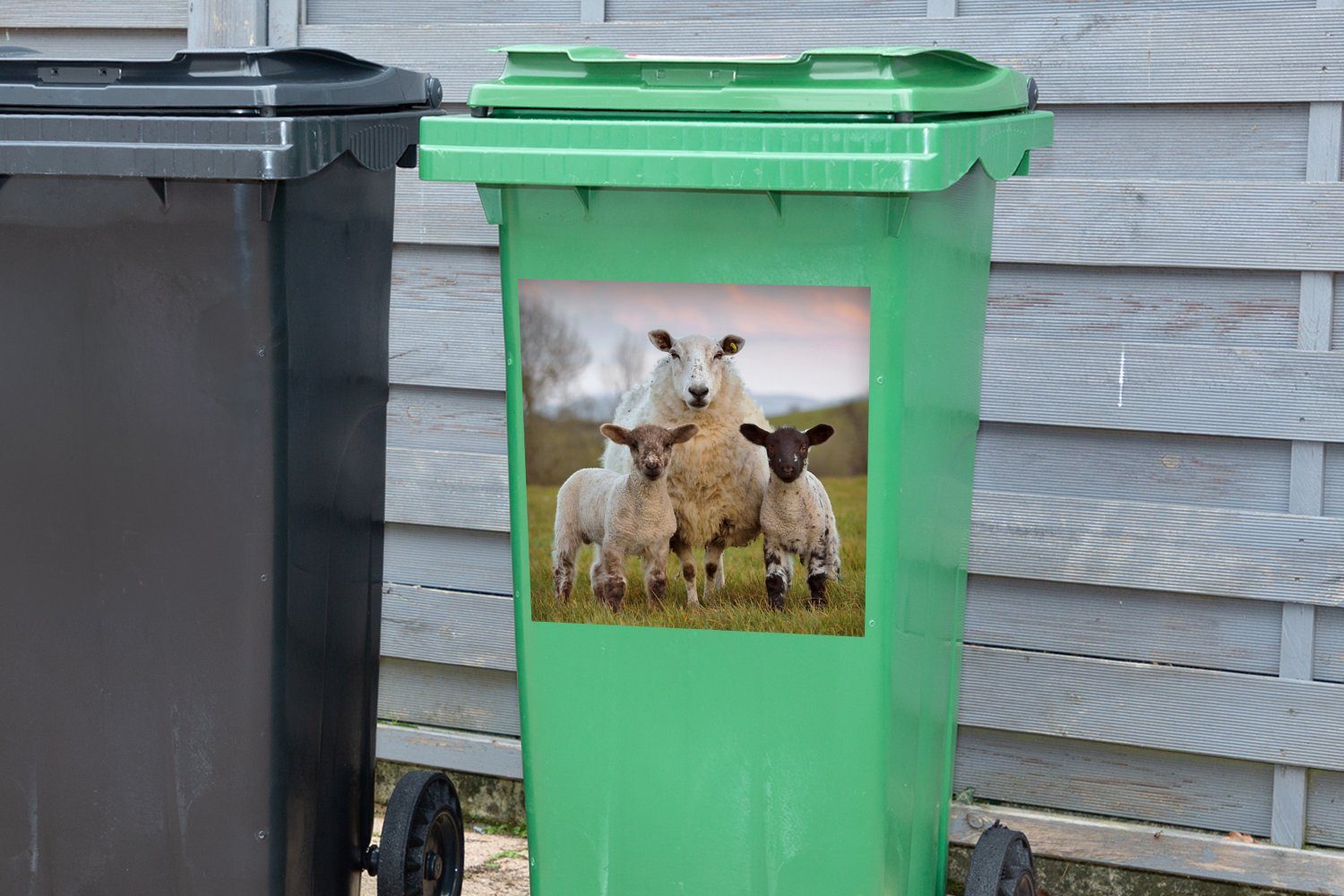 MuchoWow Wandsticker Schafe - Mülleimer-aufkleber, Schwarz Weiß Natur St), (1 Container, - - Mülltonne, Sticker, Abfalbehälter