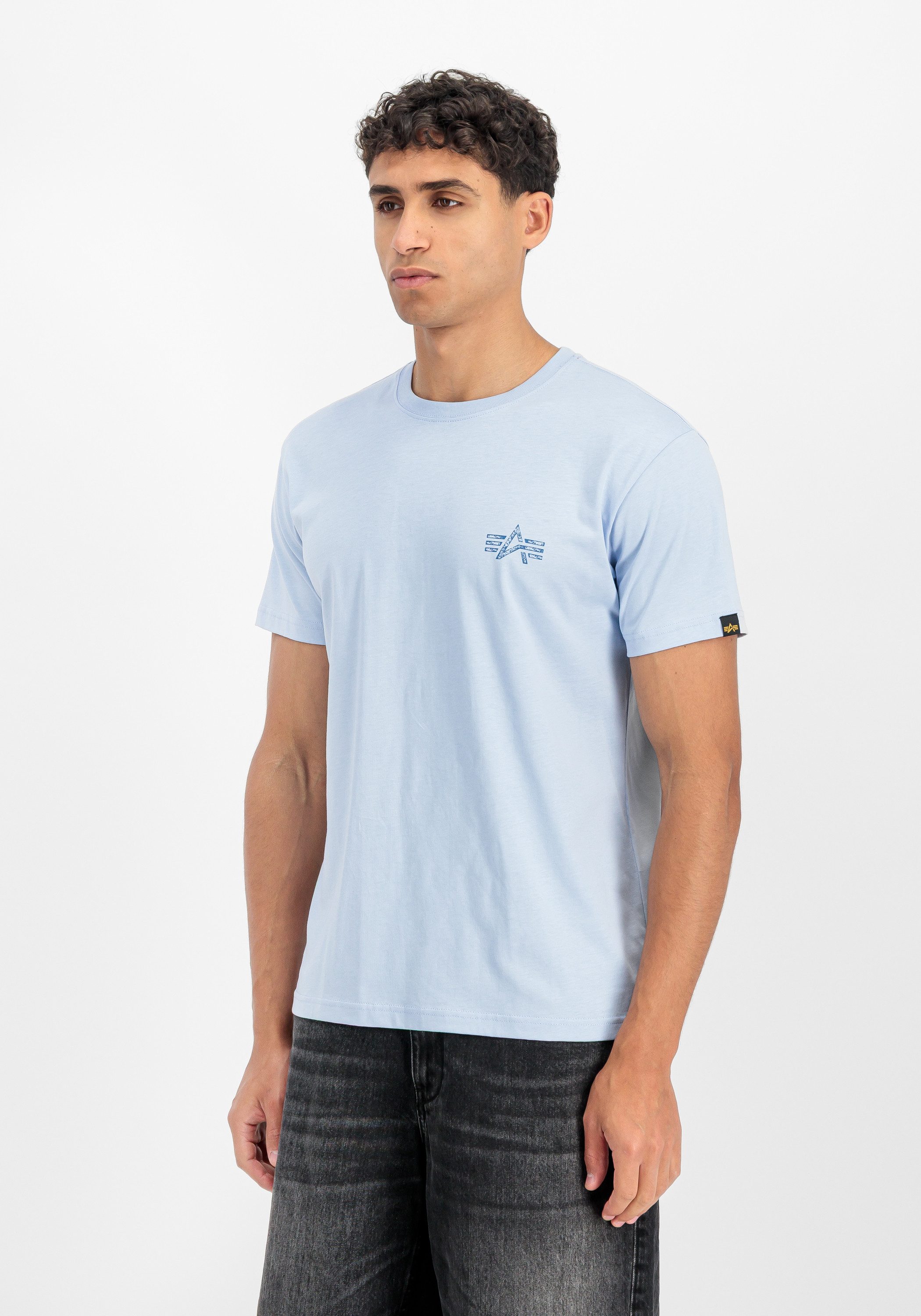 Alpha Industries T-Shirt Signature Backprint T-Shirt