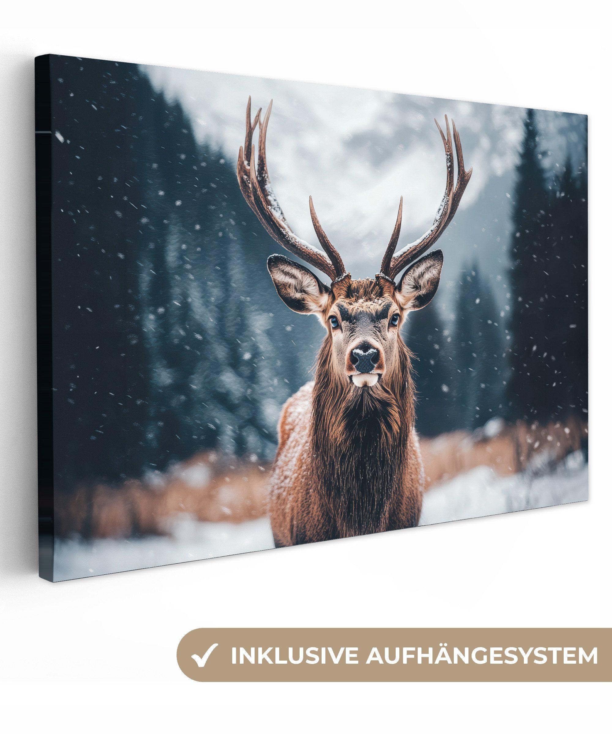 OneMillionCanvasses® Leinwandbild Hirsche - Tiere - günstig online kaufen