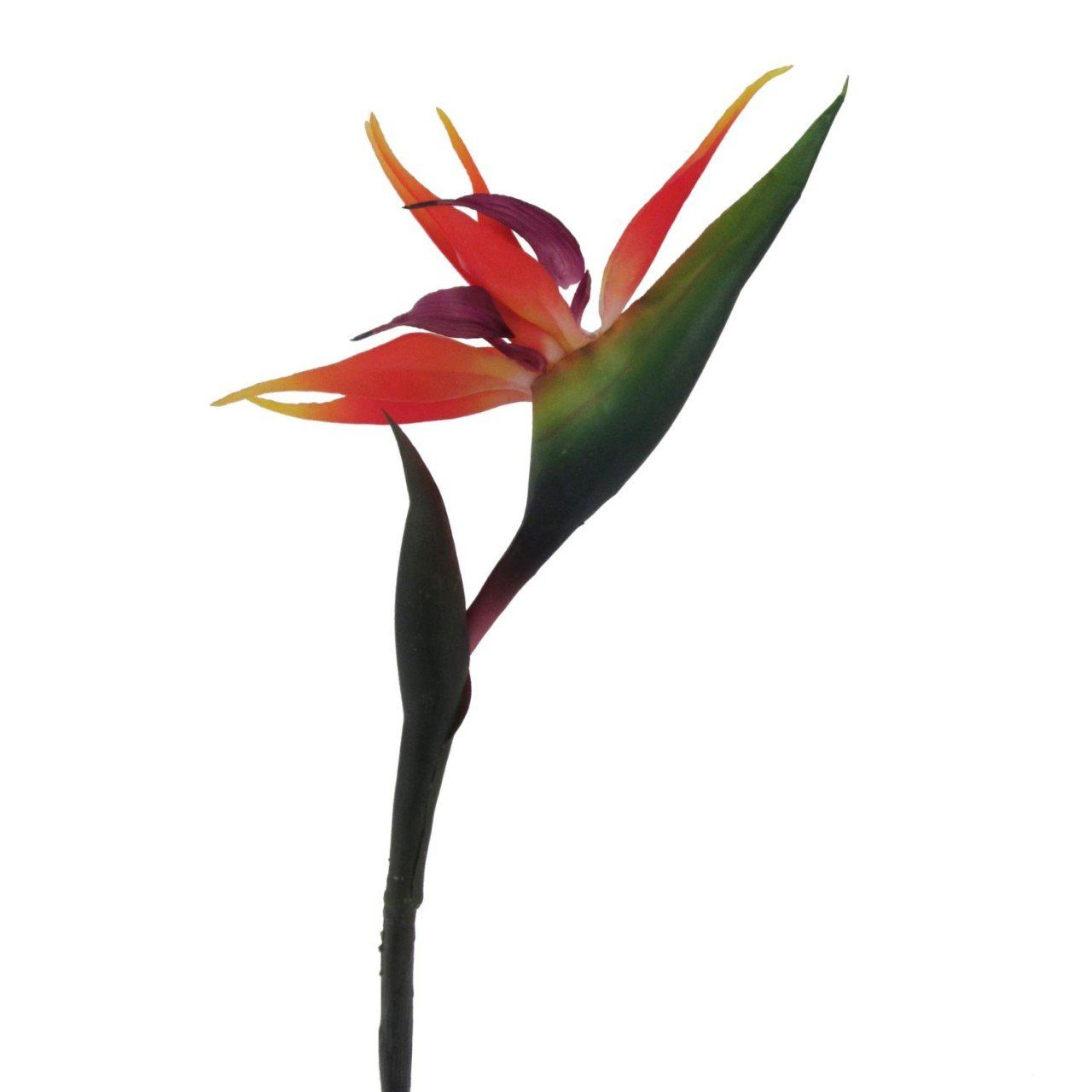 Kunstpflanze, Gasper, Höhe H:83cm 83 Mehrfarbig Kunststoff cm