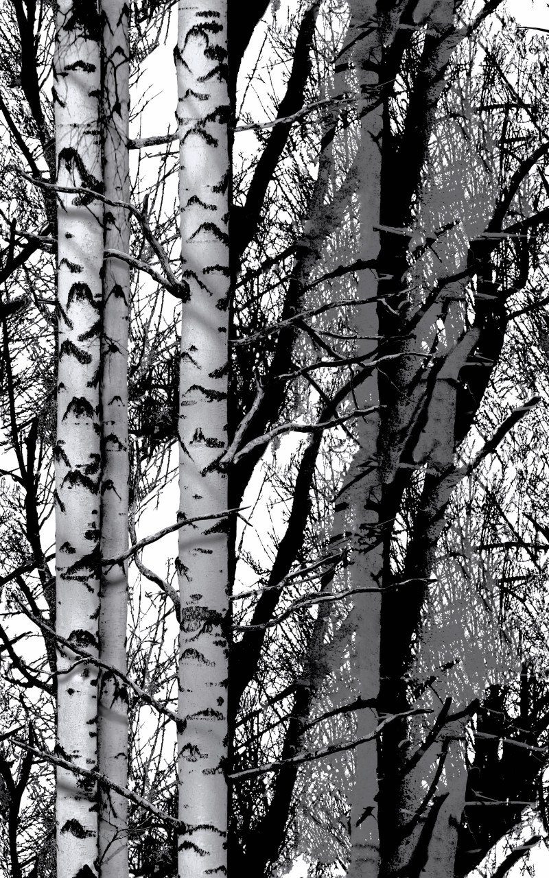 d-c-fix Wandfolie d-c-fix Selbstklebefolie Trendyline Wood 45 cm x, Natur