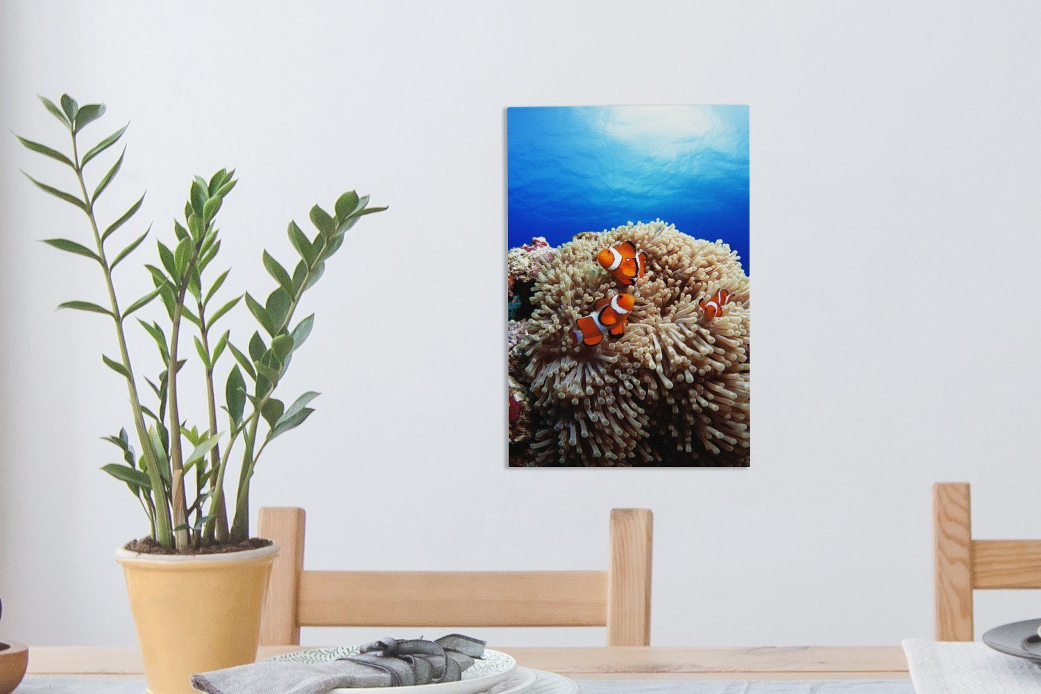 OneMillionCanvasses® Leinwandbild Drei (1 St), in bespannt Korallen, inkl. Clownfische Leinwandbild fertig Zackenaufhänger, cm Gemälde, 20x30