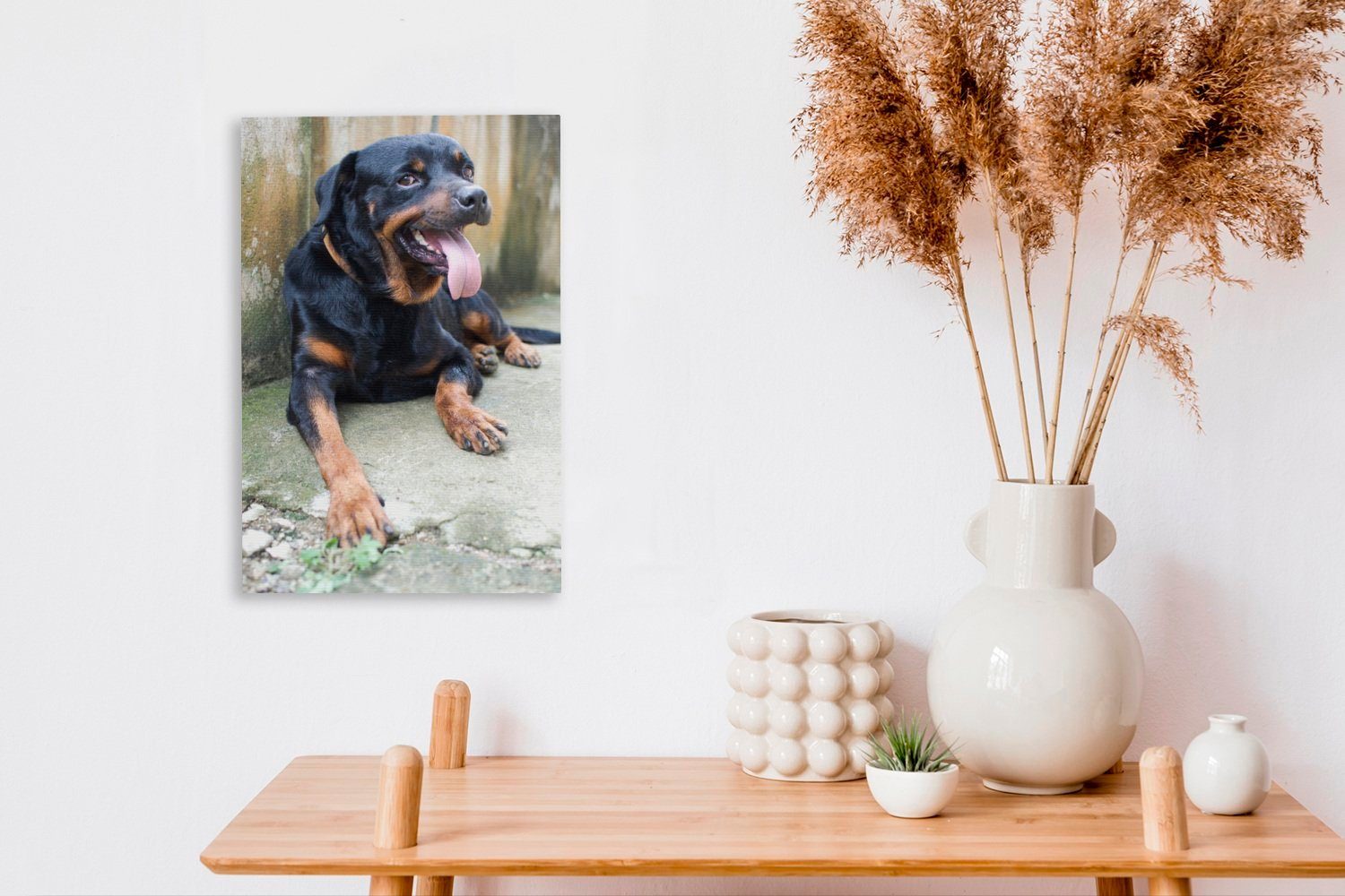 20x30 Zackenaufhänger, OneMillionCanvasses® Ein einem inkl. bespannt cm neben Rottweiler erschöpft Leinwandbild (1 fertig liegt Gemälde, St), Leinwandbild Zaun,