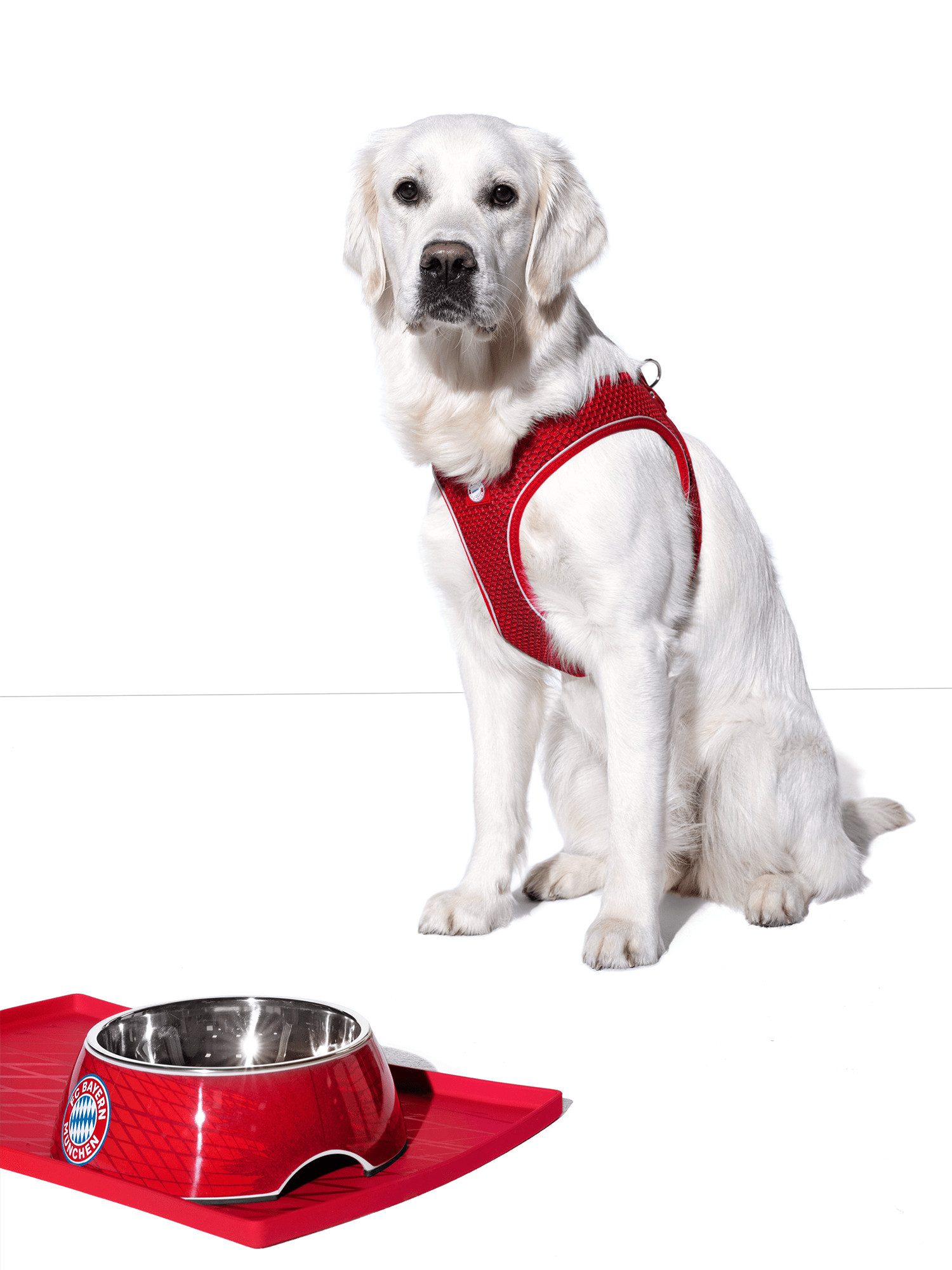 Hunter Hunde-Geschirr FC Bayern München, Hundegeschirr Hilo Comfort FC Bayern, Rot, Polyester