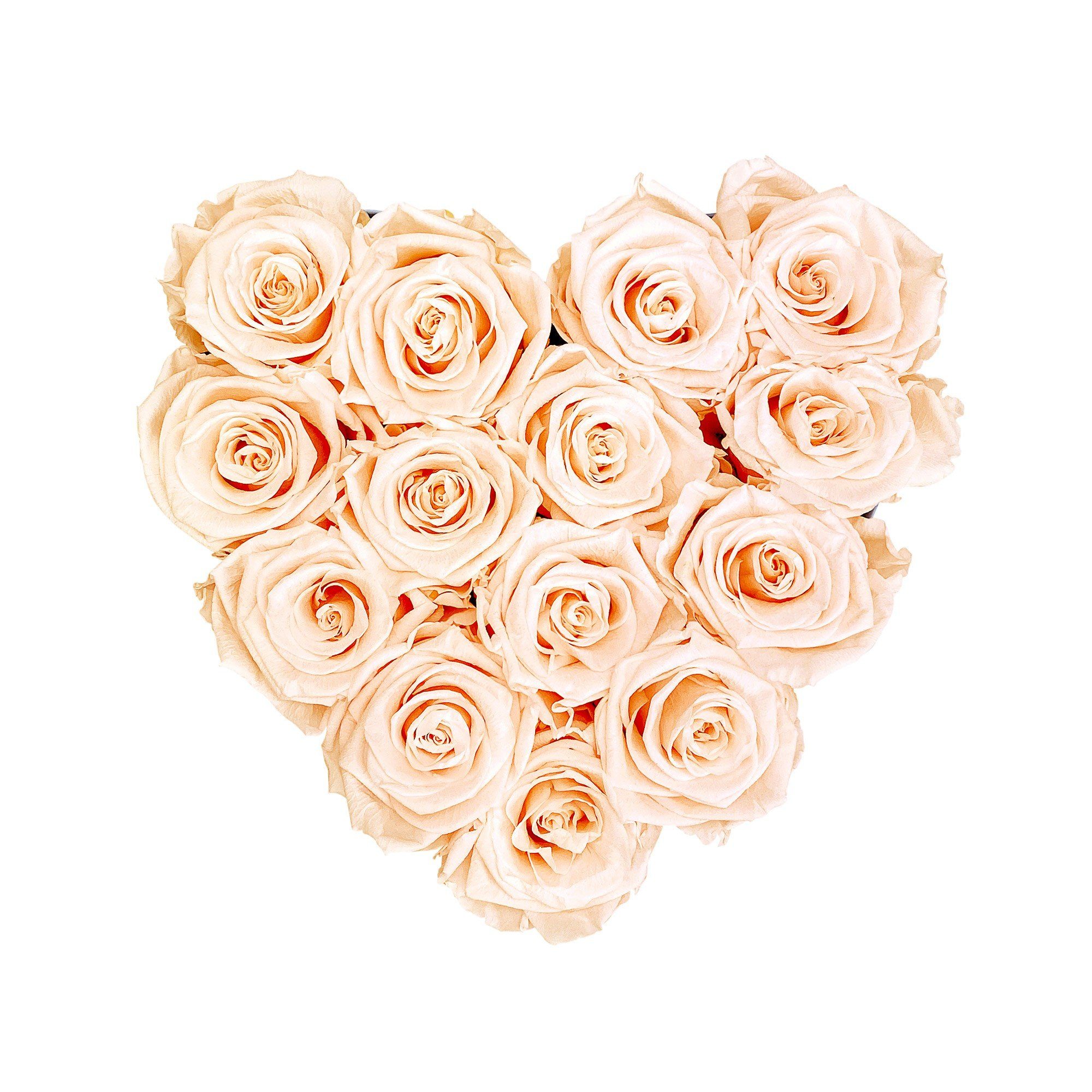 Flowers, Höhe I Richter Rose, by Herz Infinity Raul Echte, I konservierte Kunstblume Holy Rosen Peach Jahre 10 3 duftende haltbar cm I Großes Blumen Infinity mit Rosenbox