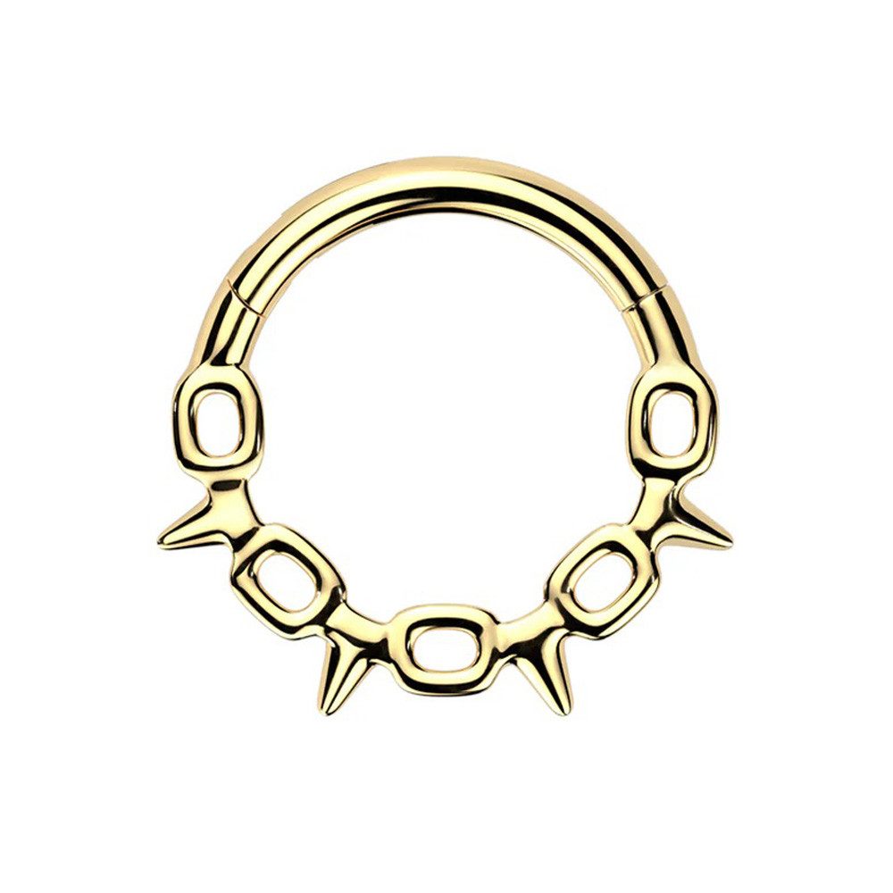 Nasenpiercing Septum Nasen Piercing Clicker Segment Ohr Daith Helix Ring Spike Kette