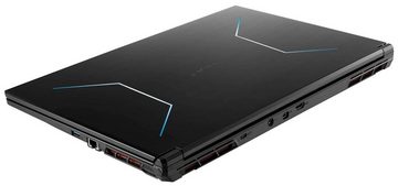 CAPTIVA Advanced Gaming I75-916G1CH Gaming-Notebook (Intel Core i9 13900H, 500 GB SSD)