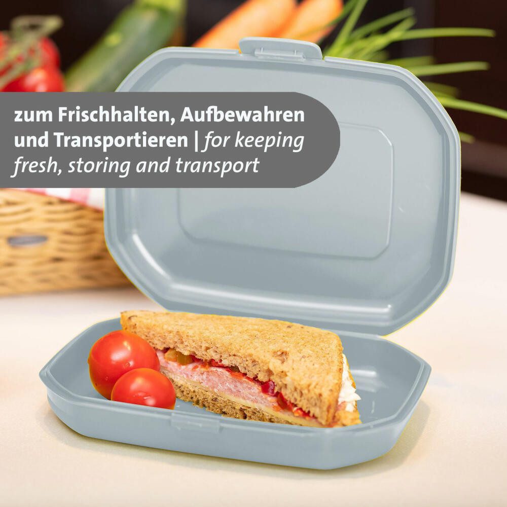 WESTMARK Lunchbox 3 Stk., Brotdosen/Snackboxen, mit Klick-Verschluss, Höhe: ca. 3,7 cm, PP