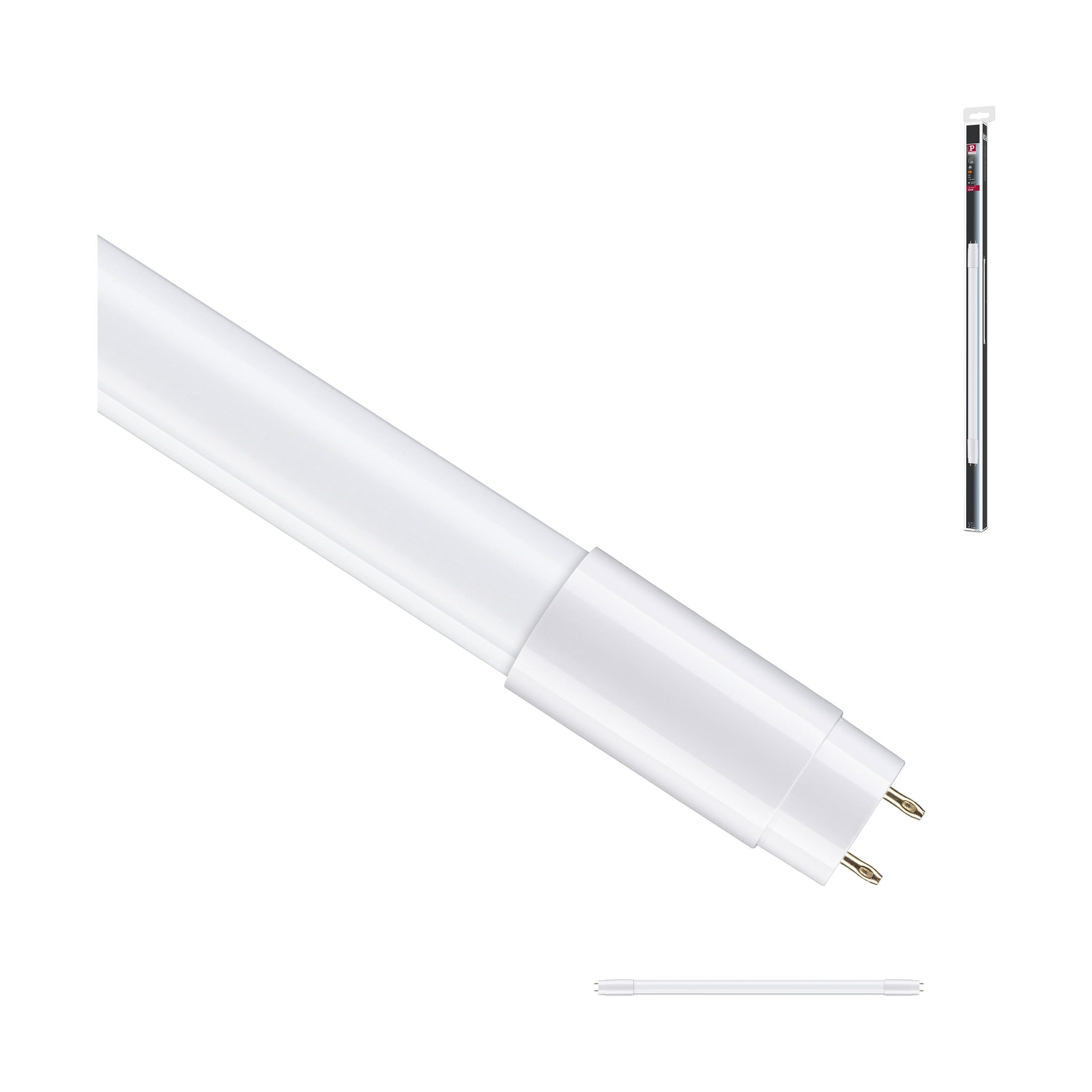 Paulmann LED-Leuchtmittel Standard 230V LED Röhre G13 T8 HF 604 mm 1250lm 11W 6500K Opal, G13, 1 St.