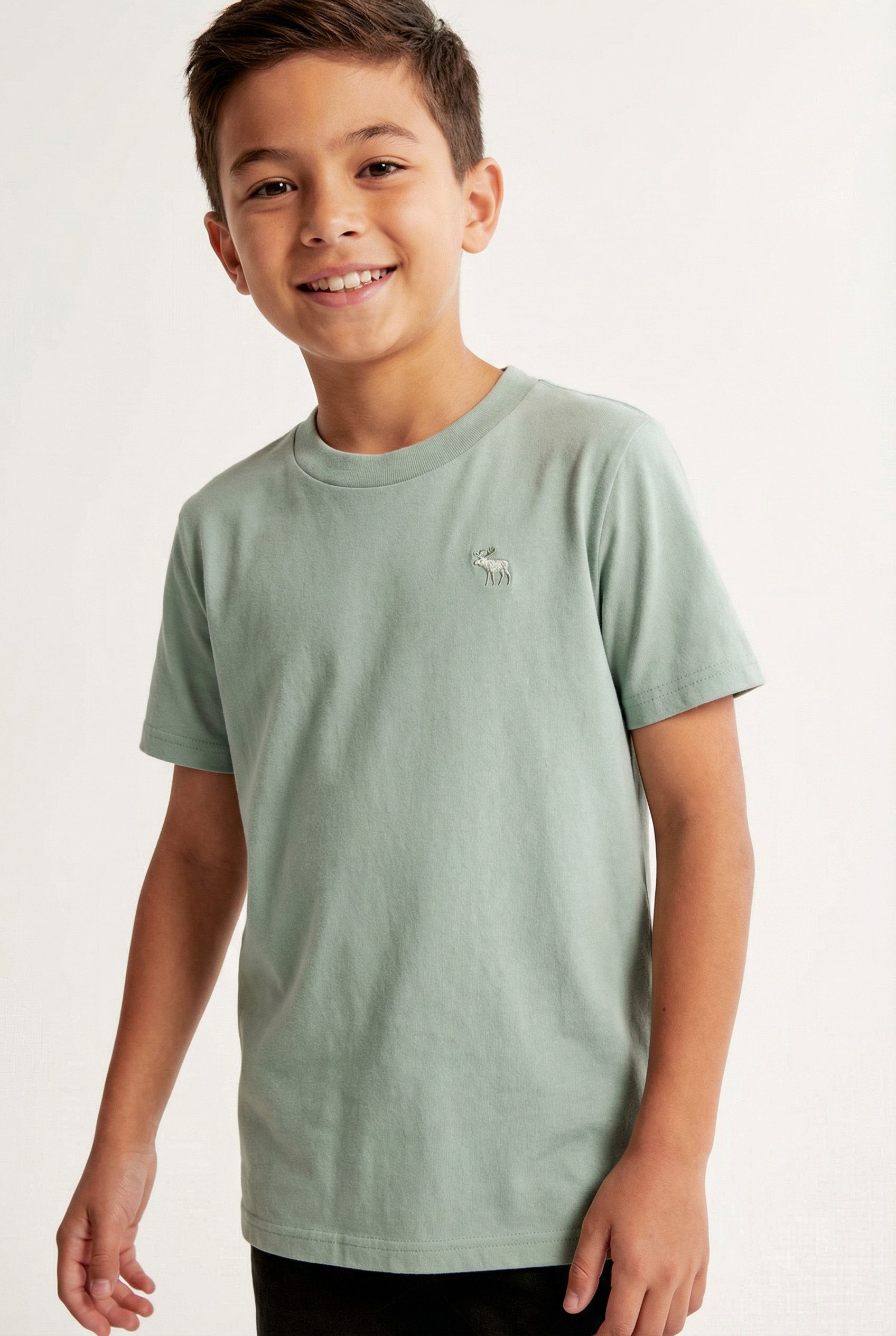 Abercrombie Kids T-Shirt AFBSHORT SLEEVE EENTIAL TEE mit Stickerei