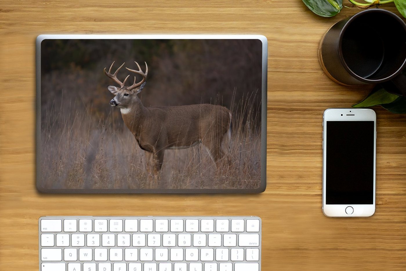 Thumbnail - MuchoWow Laptop-Aufkleber Herbst - Hirsche - Gras - Natur - Tiere, (1tlg), Laptop Folien Cover, Aufkleber, Sticker, Schu...
