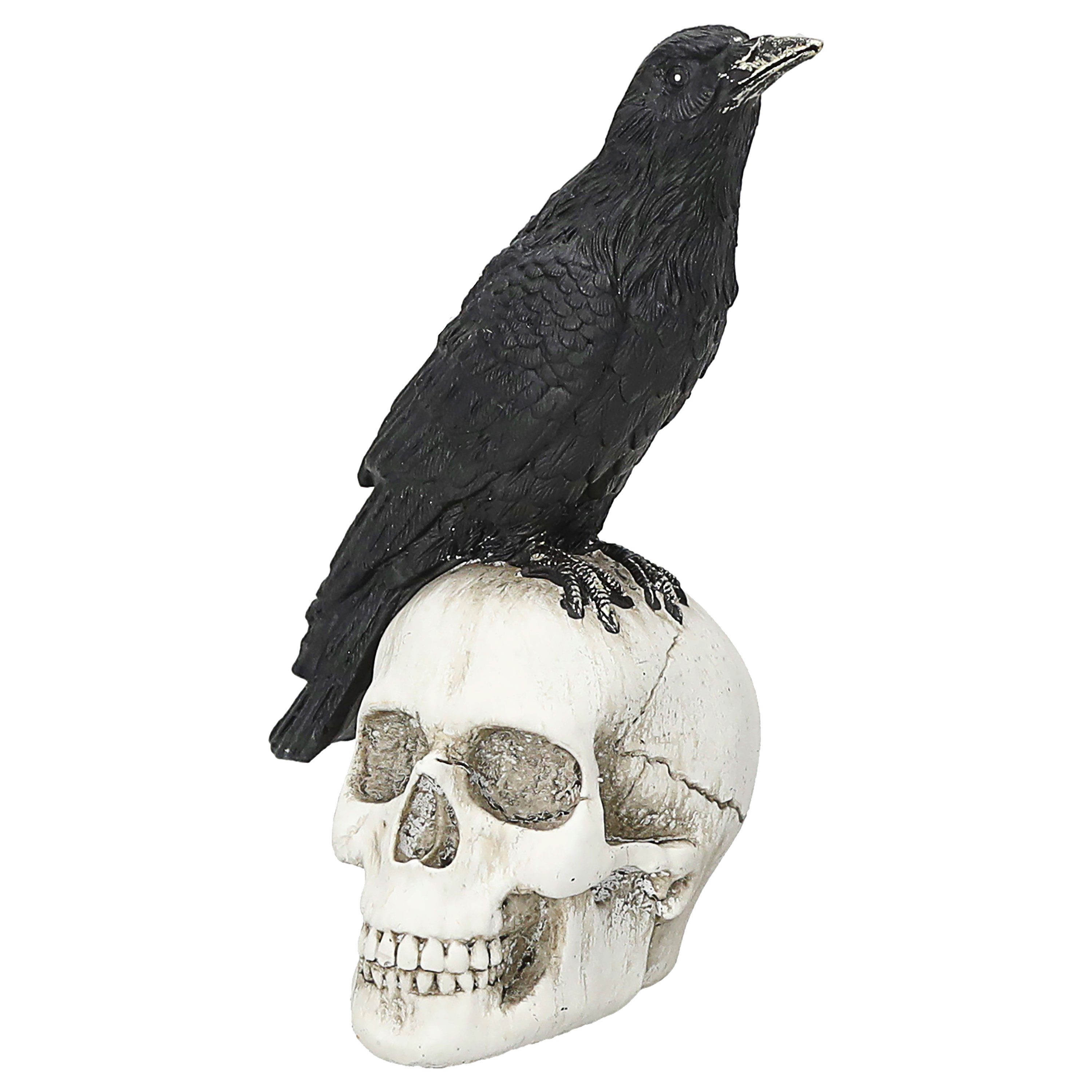 CEPEWA Dekofigur Rabe Totenschädel Polyresin 11x14x8cm Totenkopf Krähe Hall günstig online kaufen