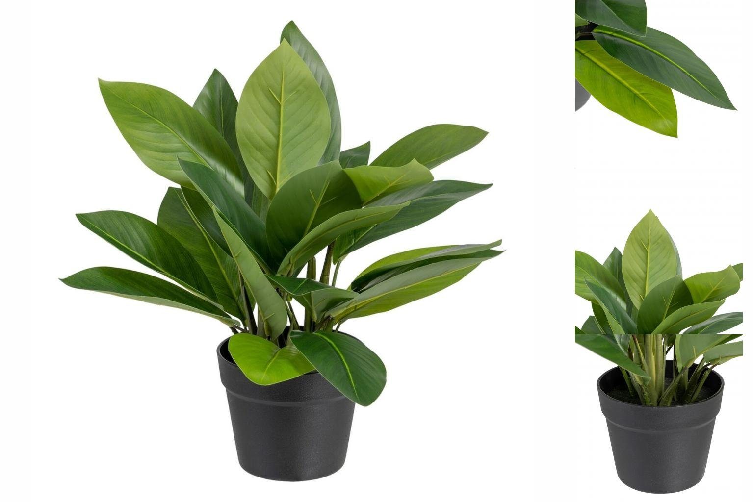 Künstliche Zimmerpflanze Dekorationspflanze 50 x 45 x 48 cm grün PVC, Bigbuy, Höhe 50 cm