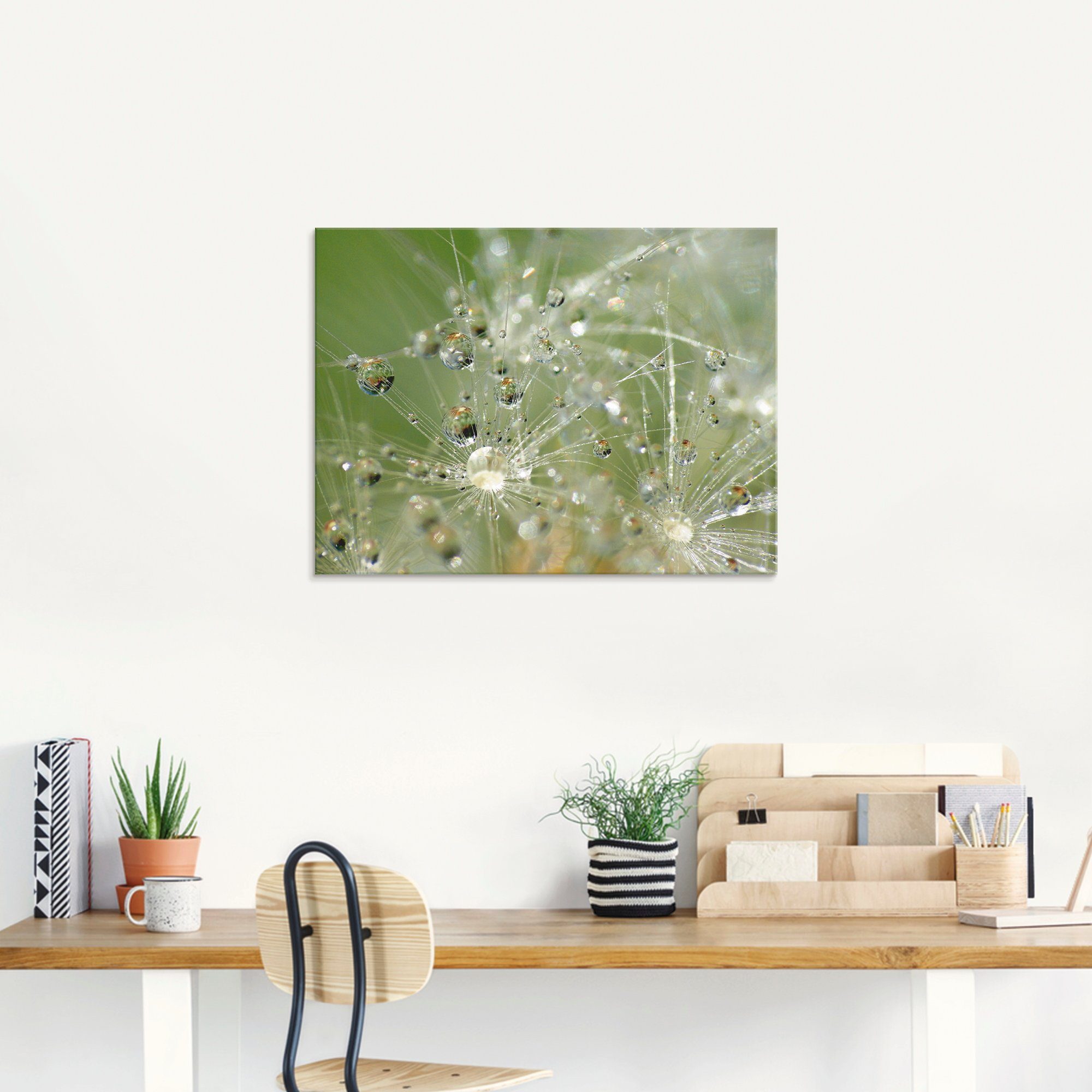 St), verschiedenen Größen (1 Glasbild Wassertropfen Artland in Pusteblume, Blumen