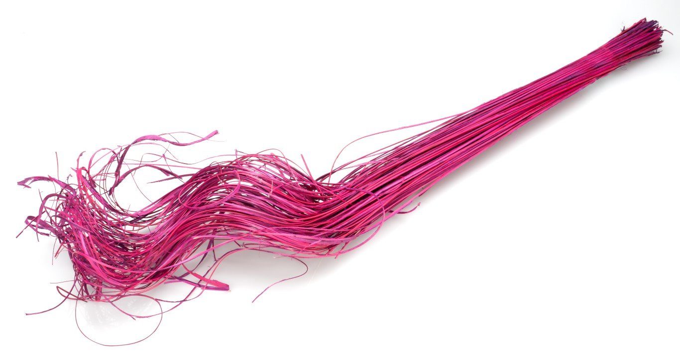 Trockenblume Weiden Spiral Bündel Lila, ca. 70cm